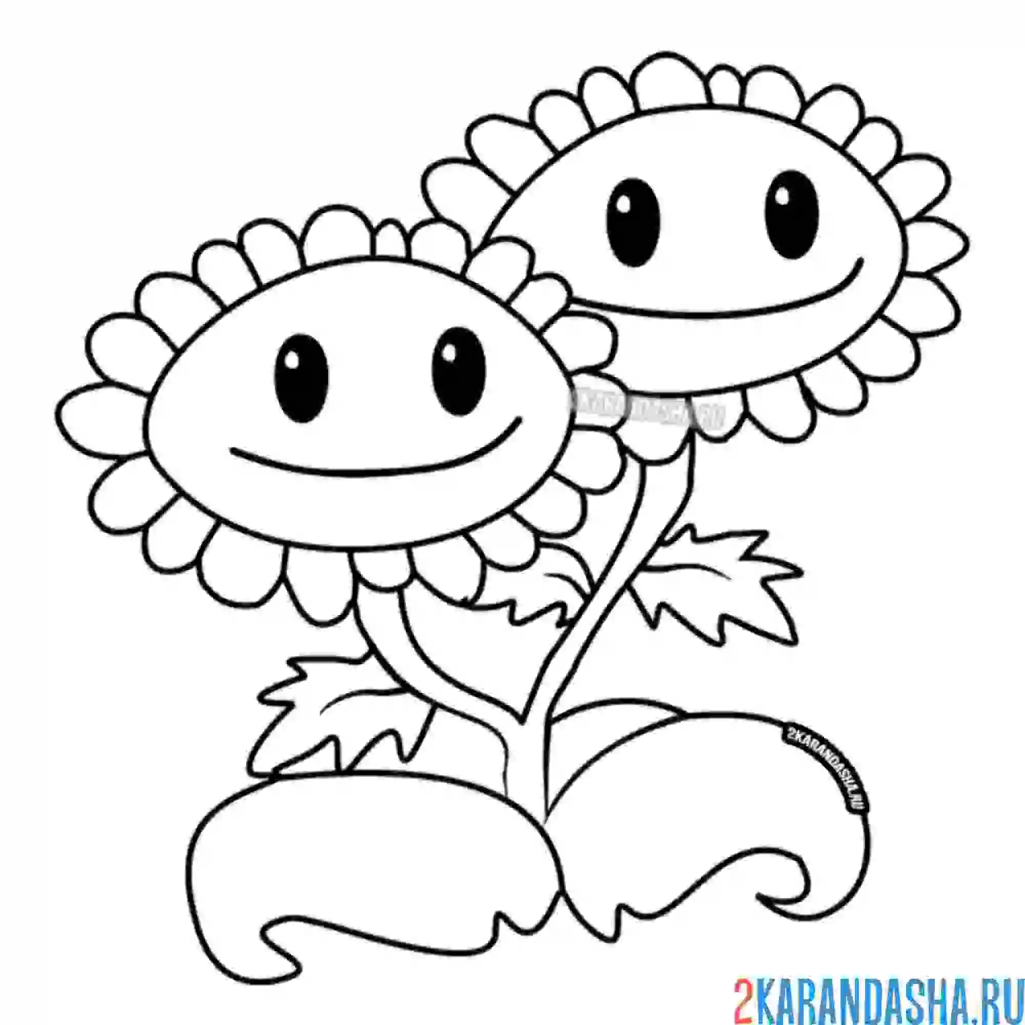 Раскраска двойной подсолнух