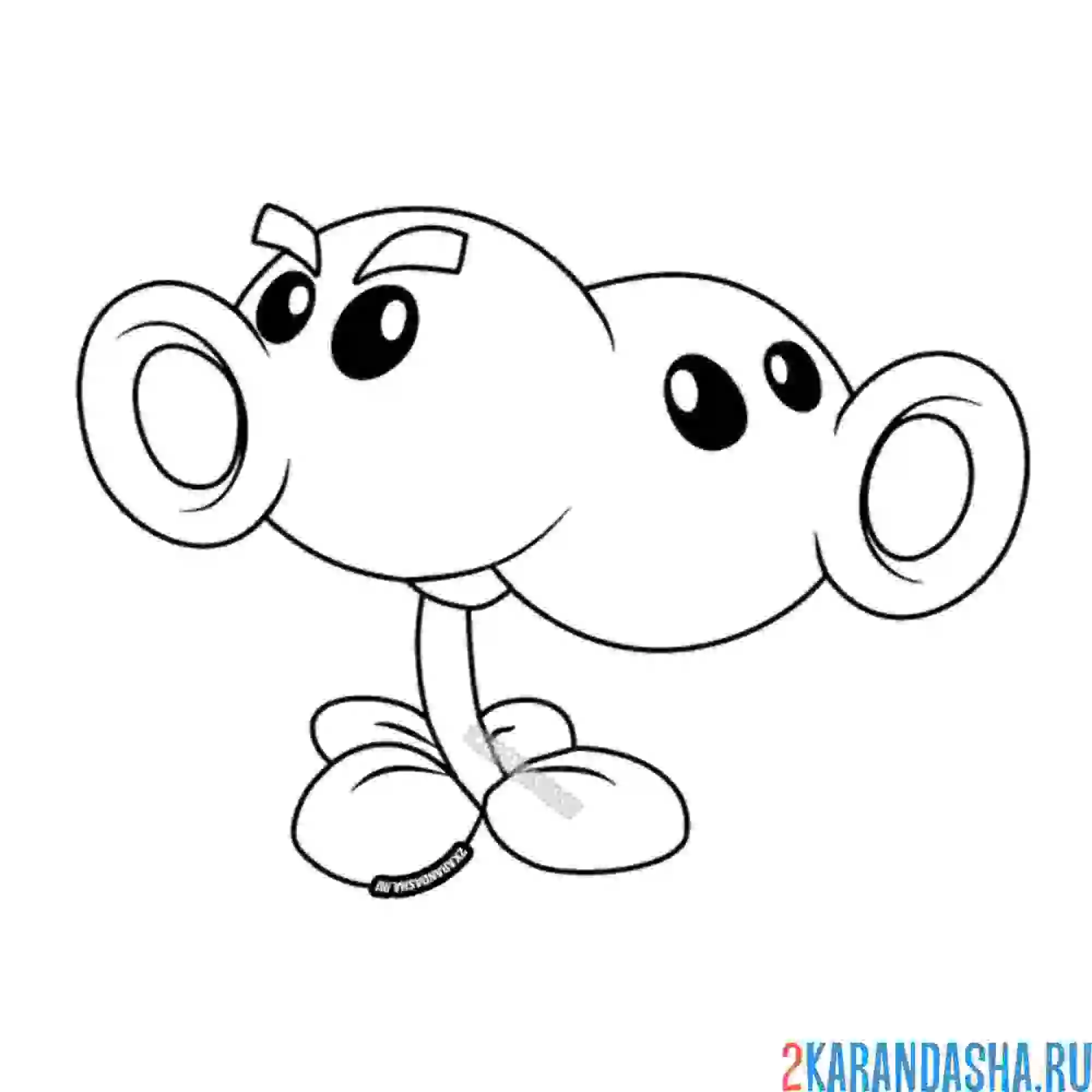 Раскраска сиамский горхострел