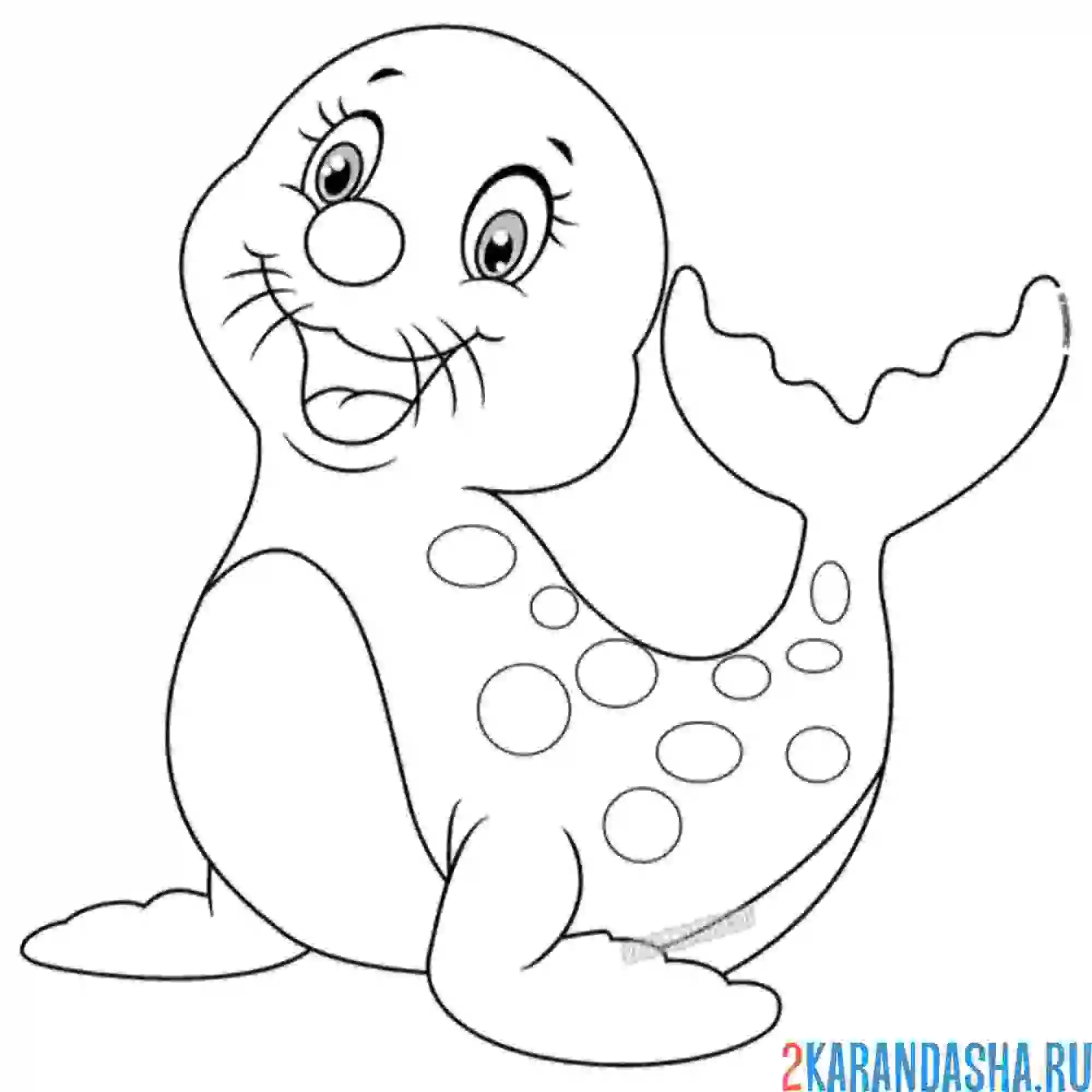 Раскраска маленький красивый тюлень