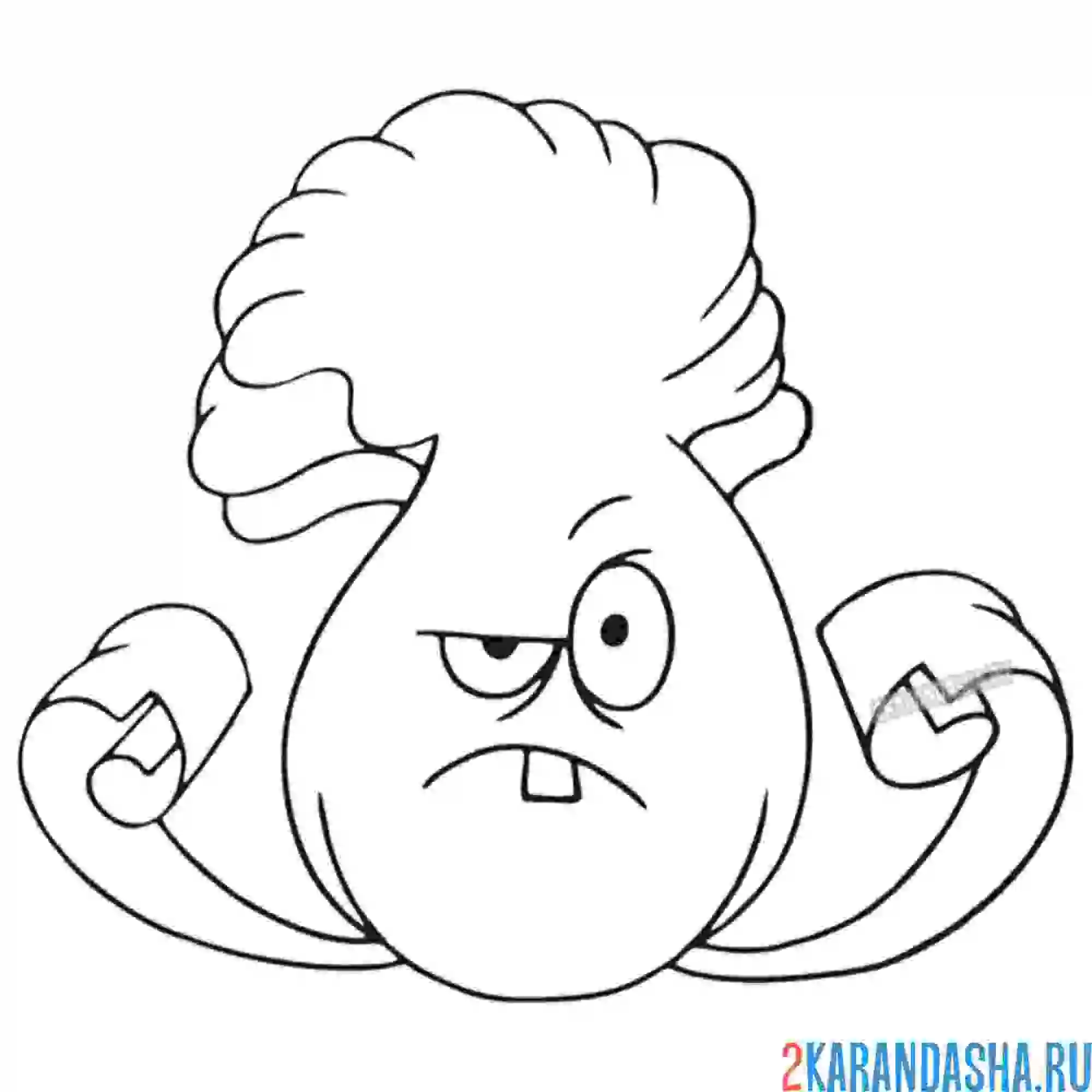 Раскраска репа бонг чой