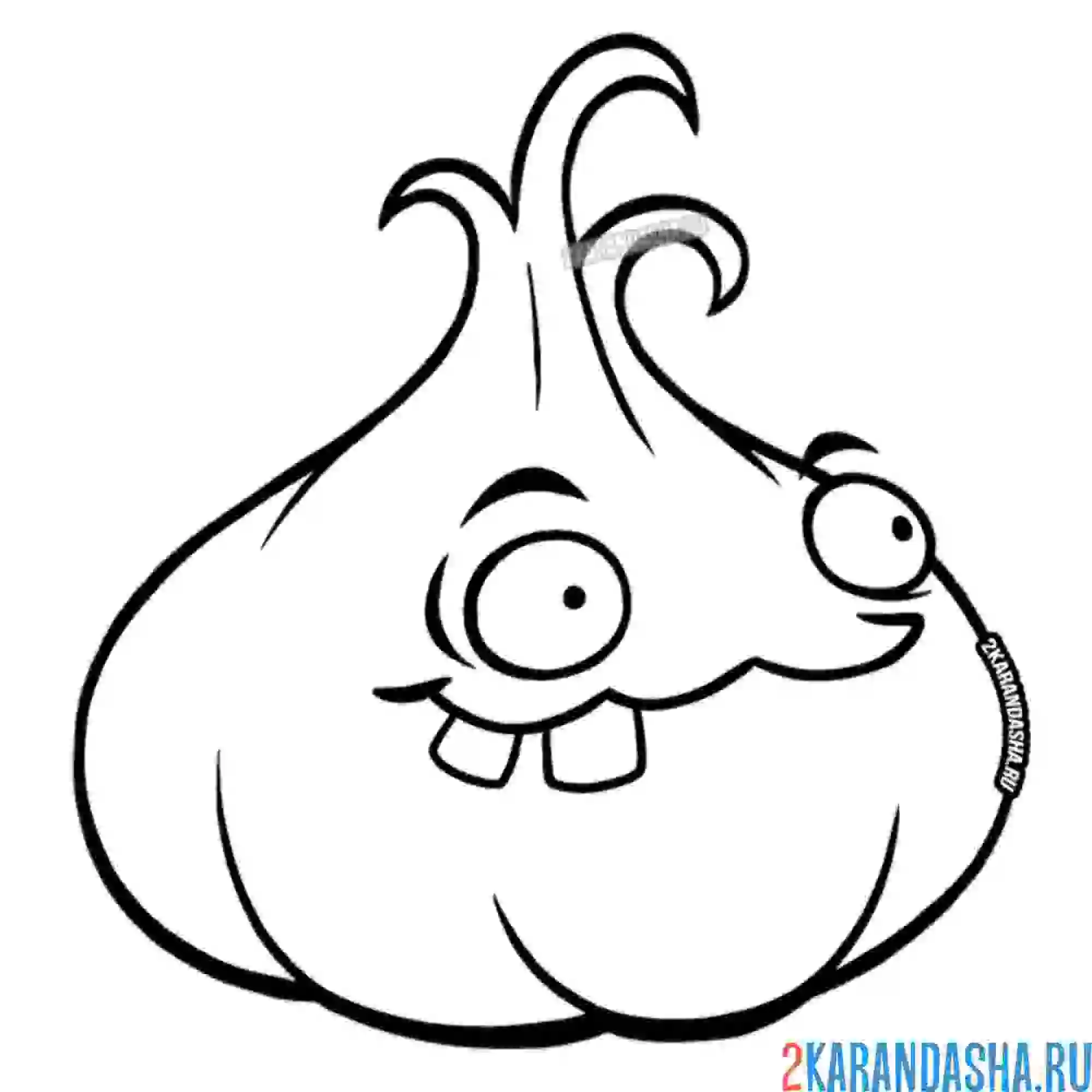 Раскраска чеснок