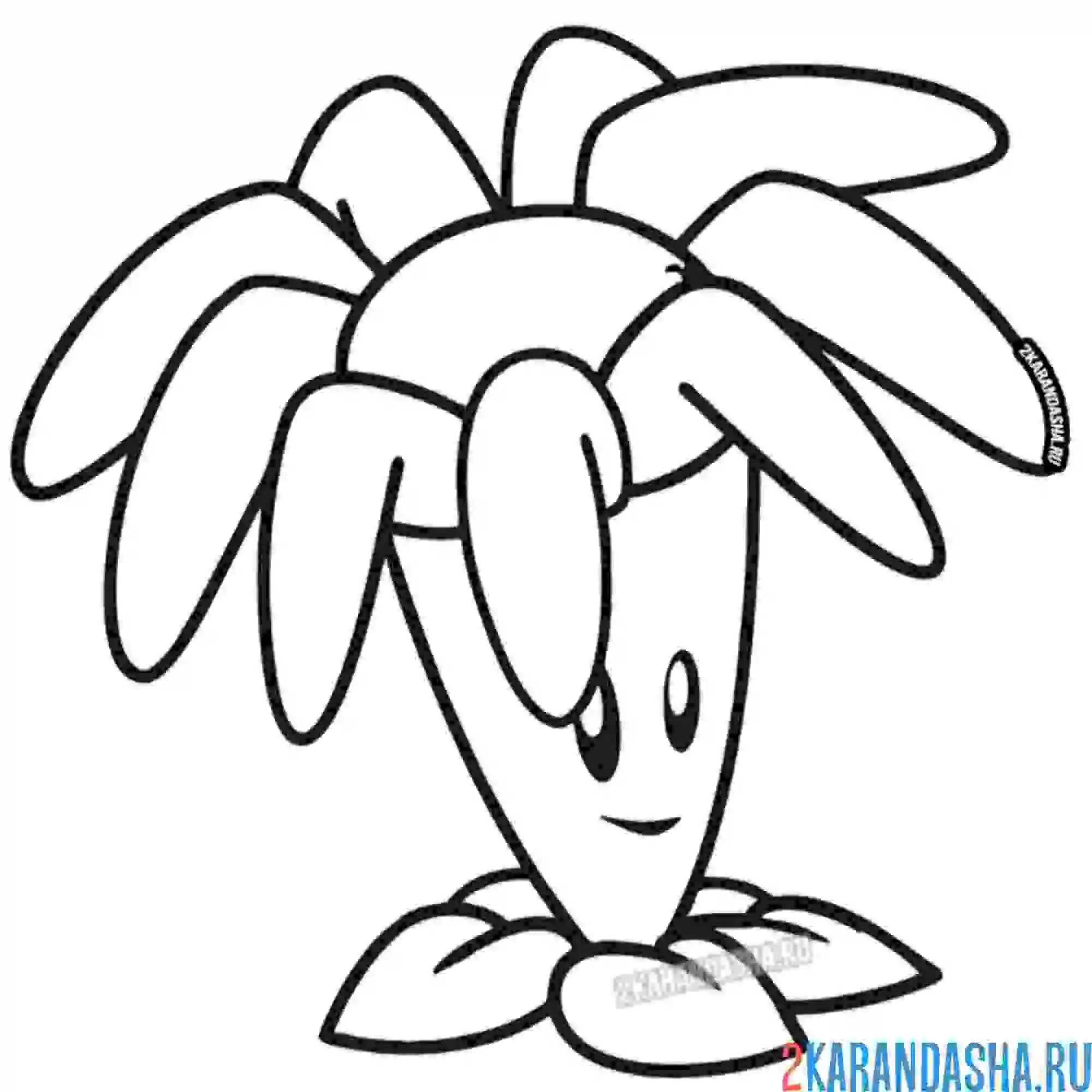 Раскраска цветущий бумеранг