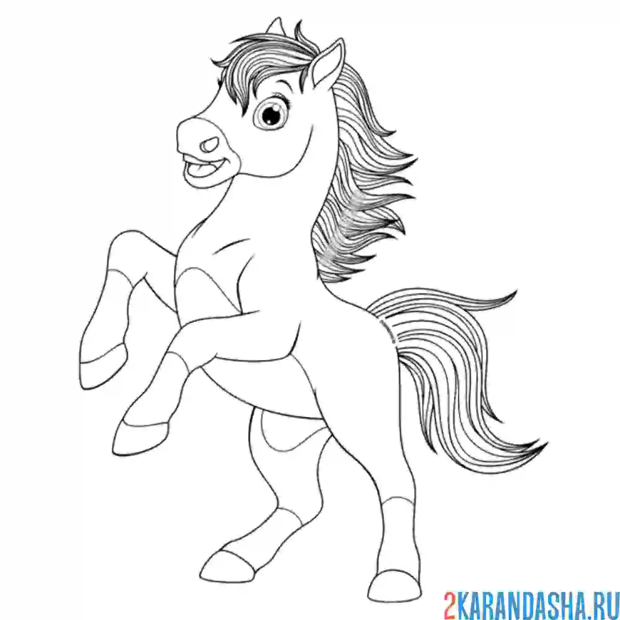 Раскраска красивая лошадь с гривой
