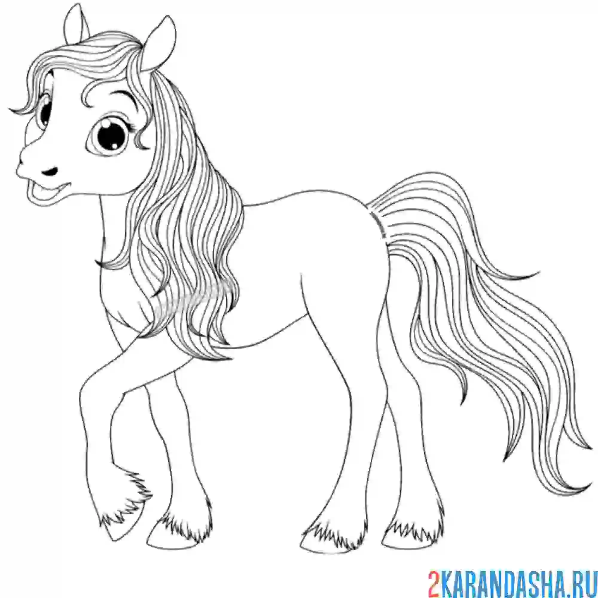 Раскраска ухоженная лошадка