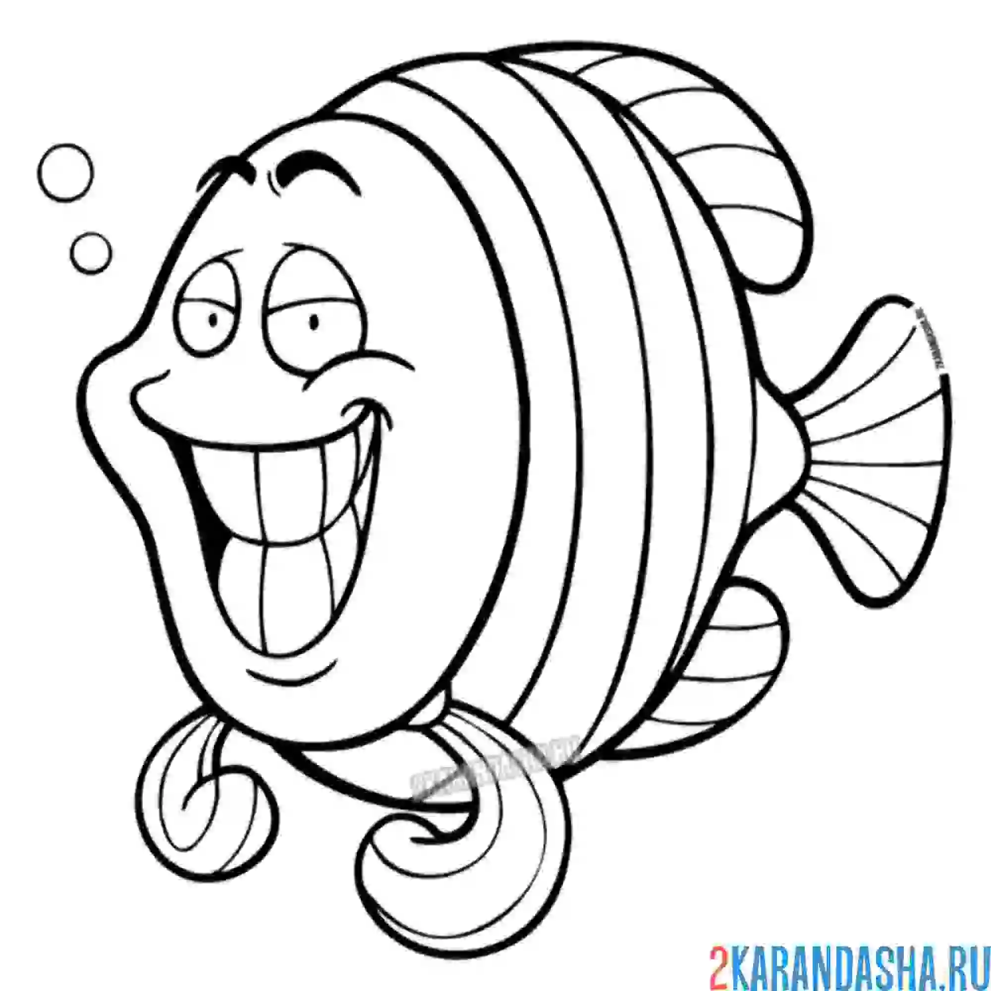 Раскраска морской ангел рыба