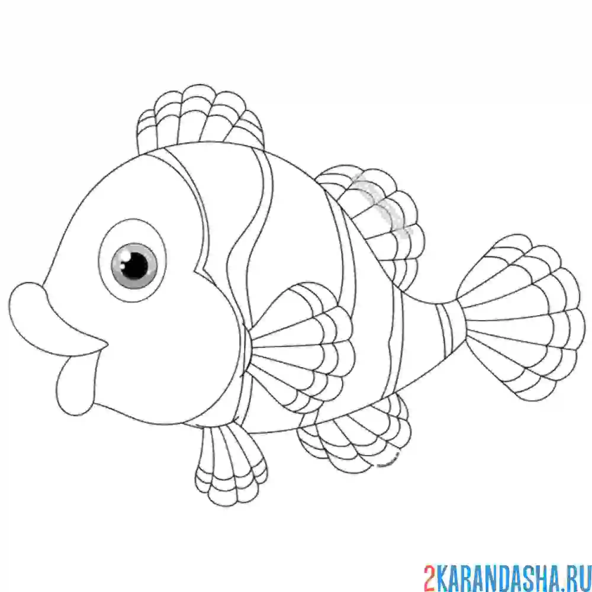 Раскраска оранжевый клоун рыба