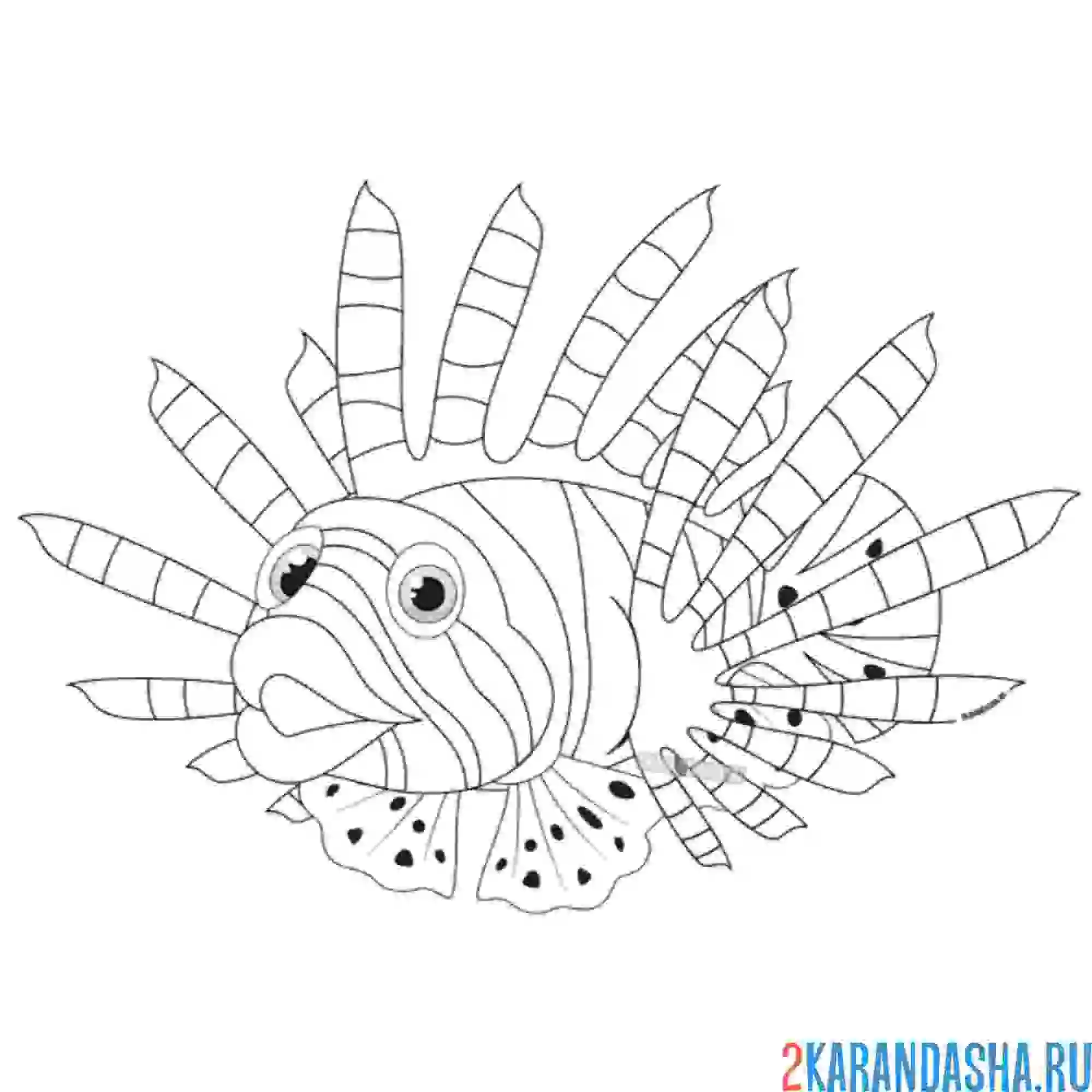 Раскраска морская крылатка рыба