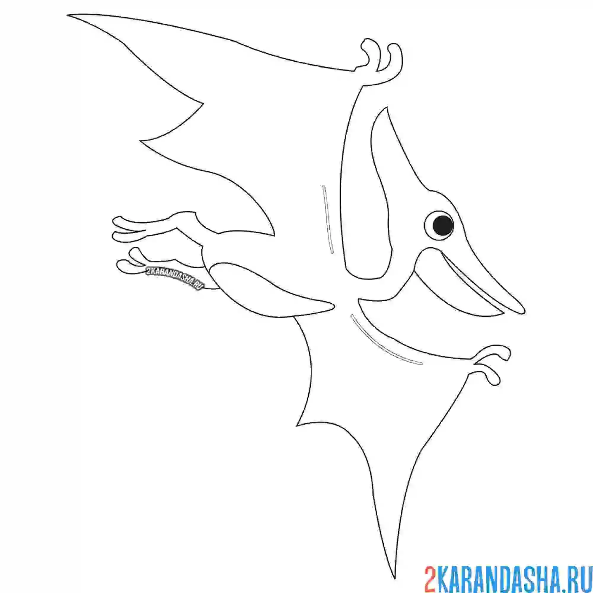 Раскраска летающий динозавр птерозавр