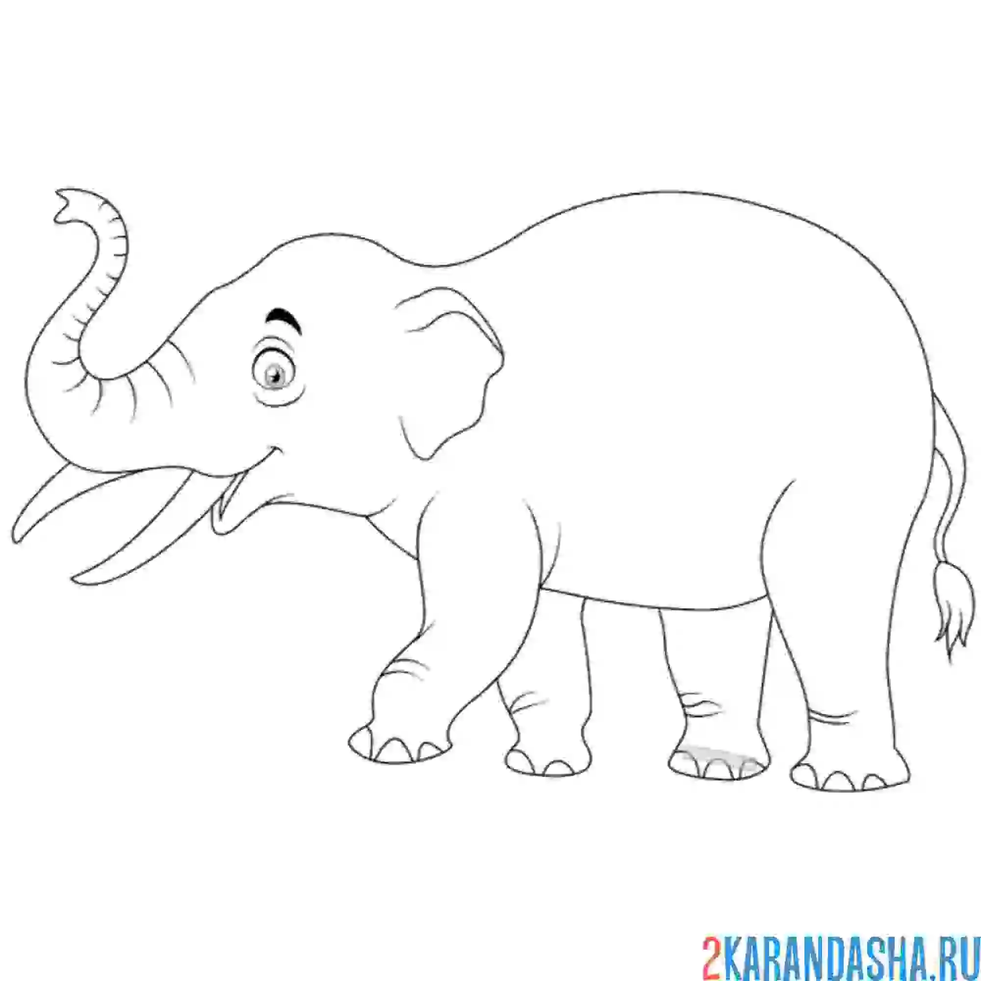 Раскраска большой индийский слон