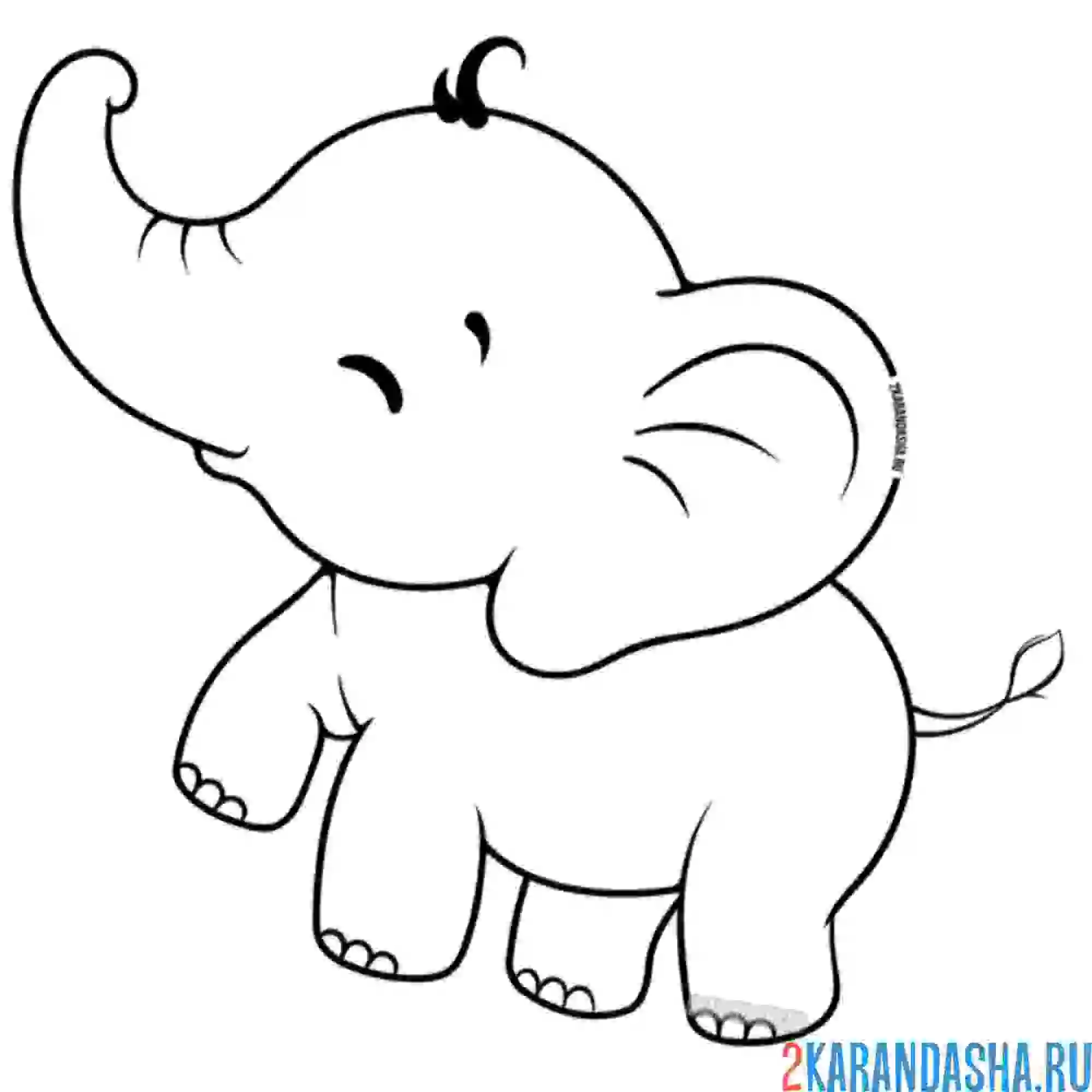 Раскраска слоненок легкий в раскрашивании