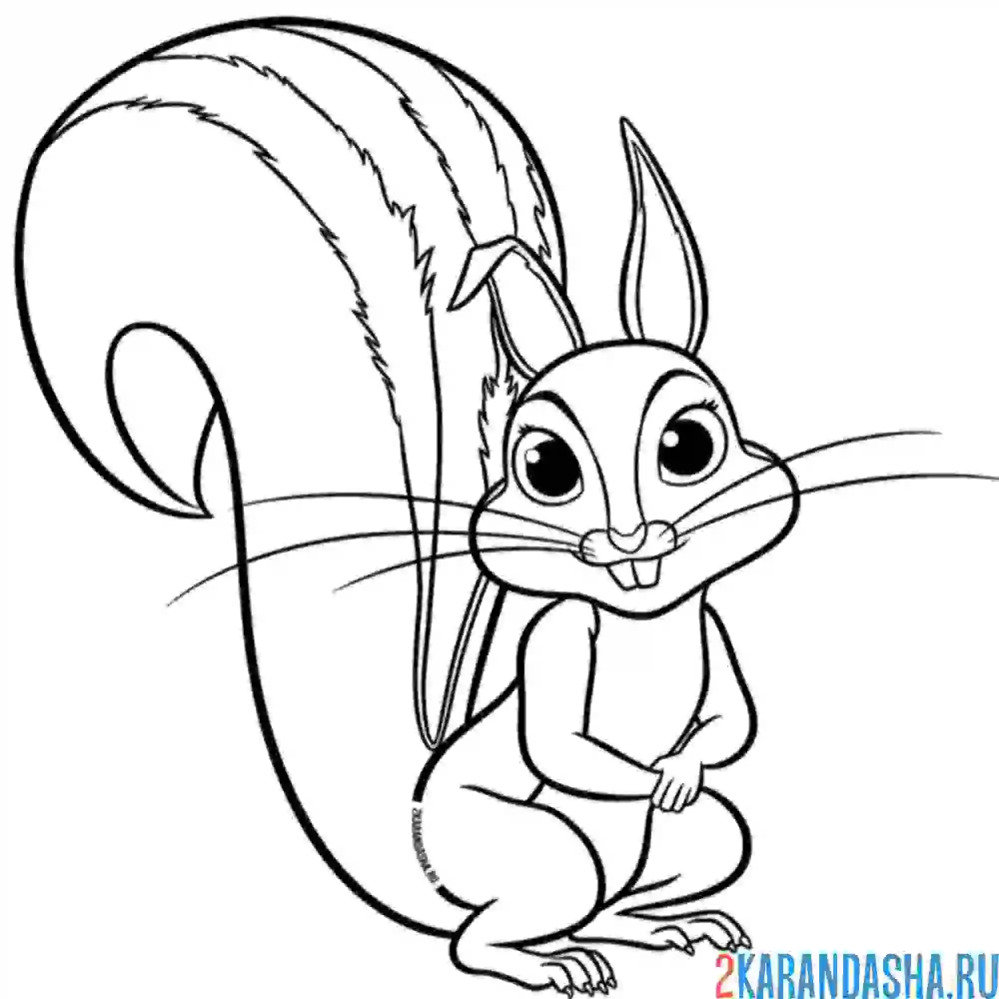 Раскраска бельчонок орешек