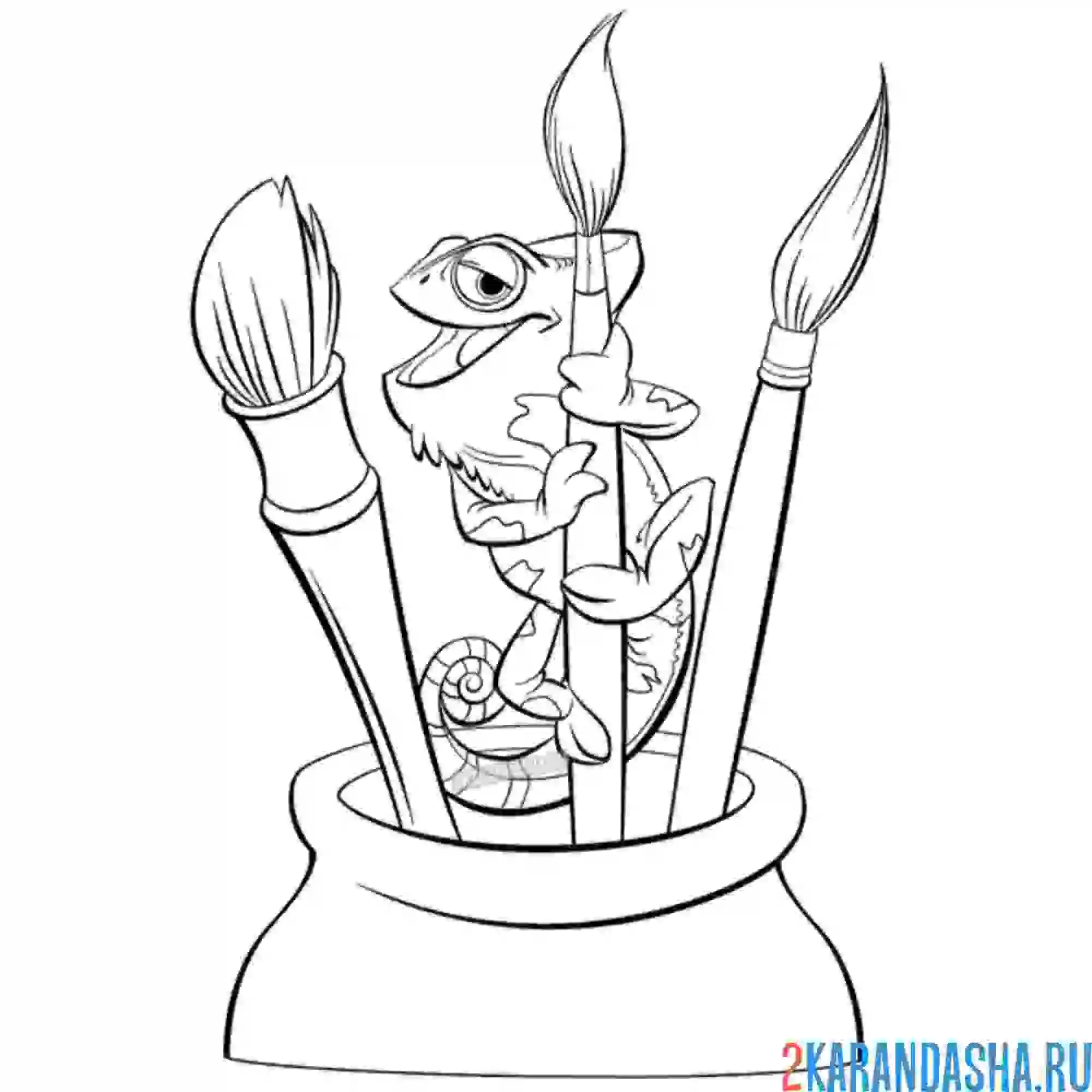 Раскраска хамелеон паскаль