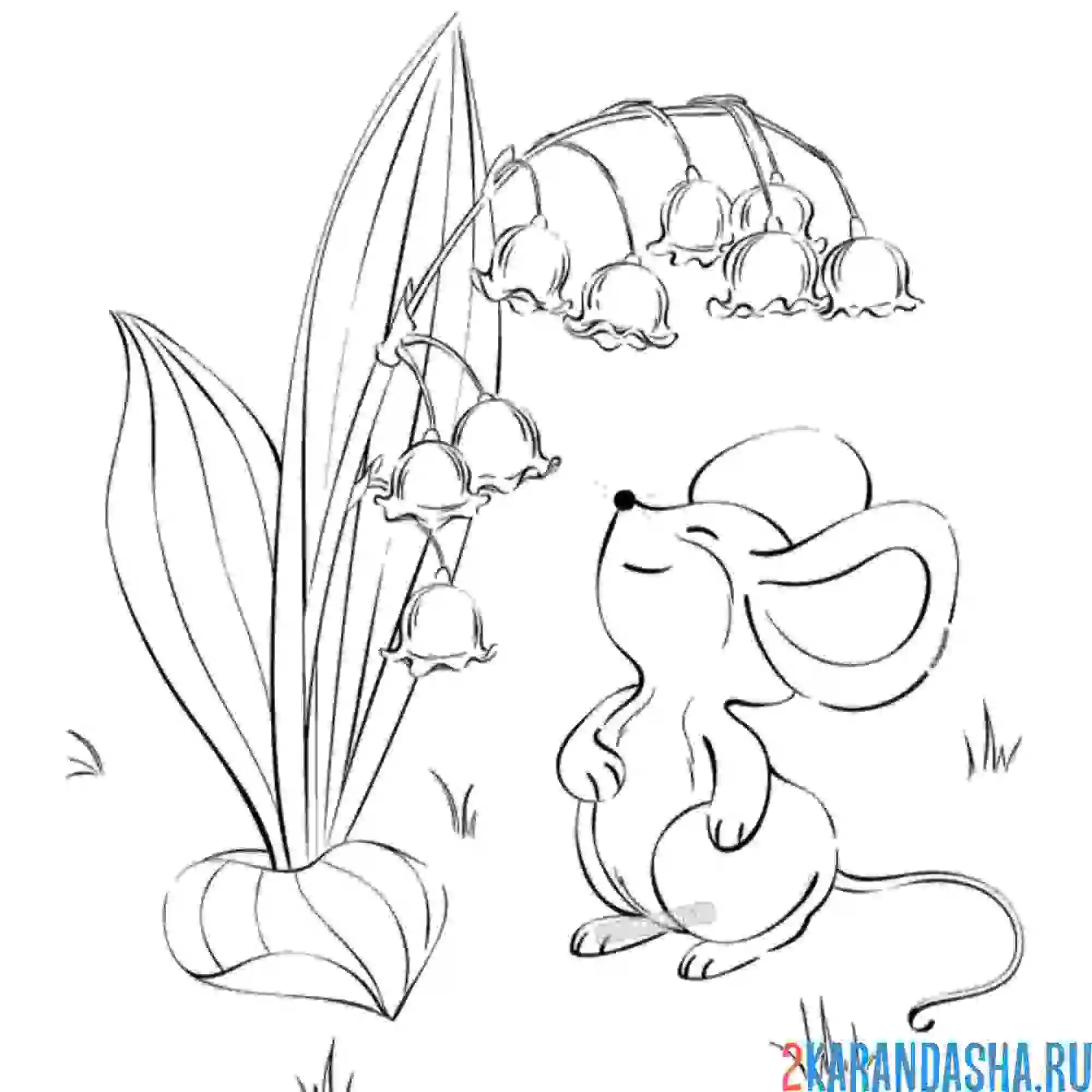 Раскраска мышка и ландыши весной