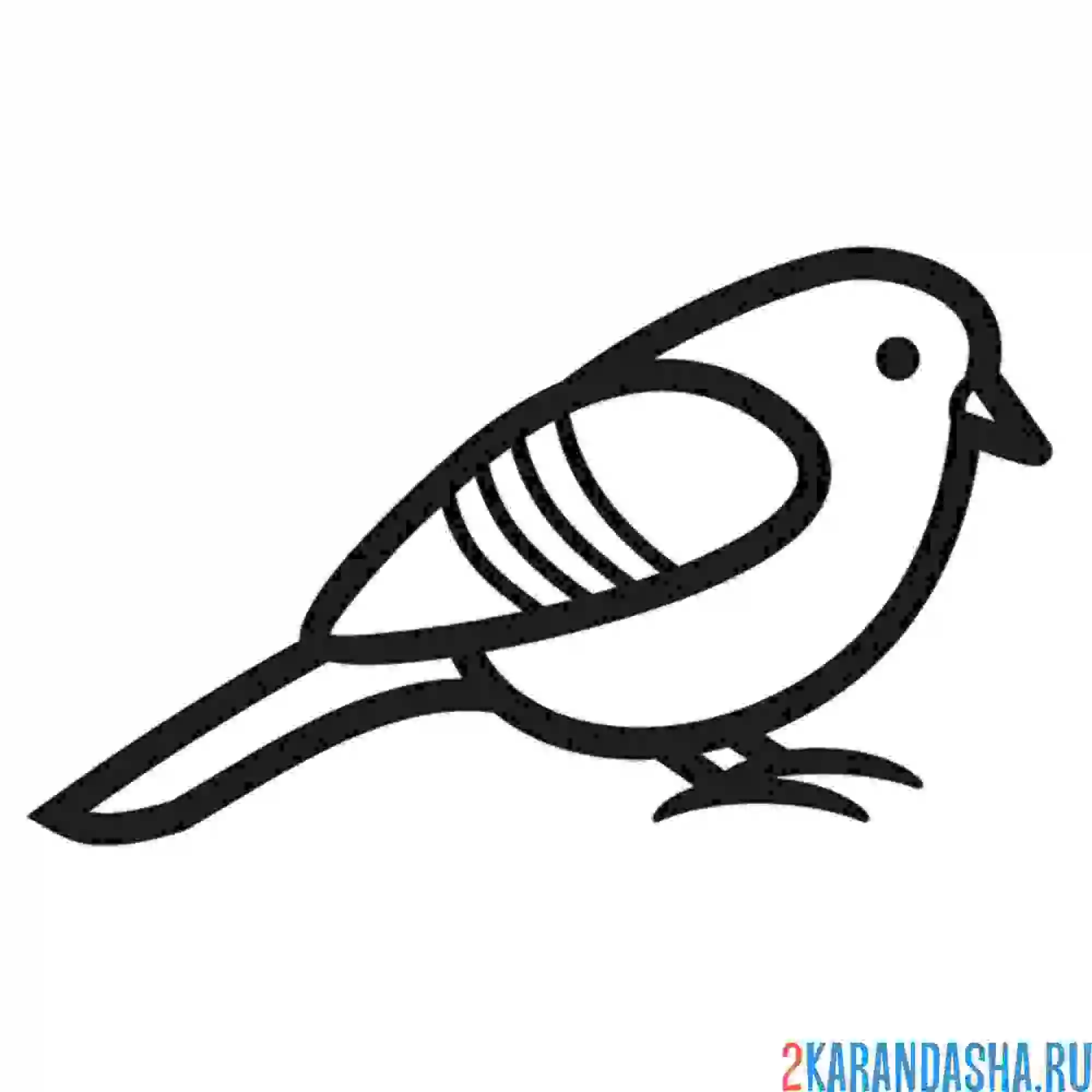 Раскраска птичка простая