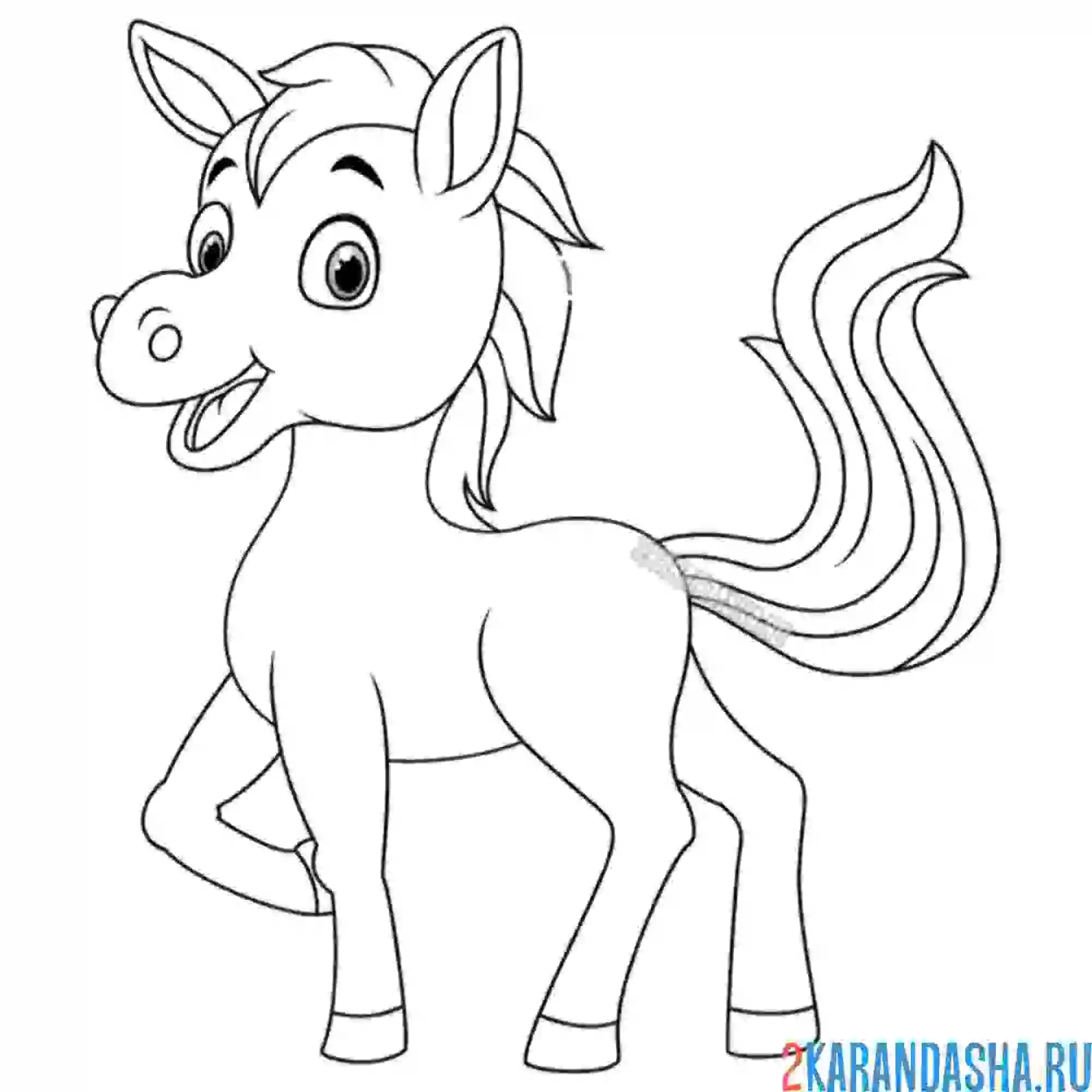 Раскраска малыш жеребенок