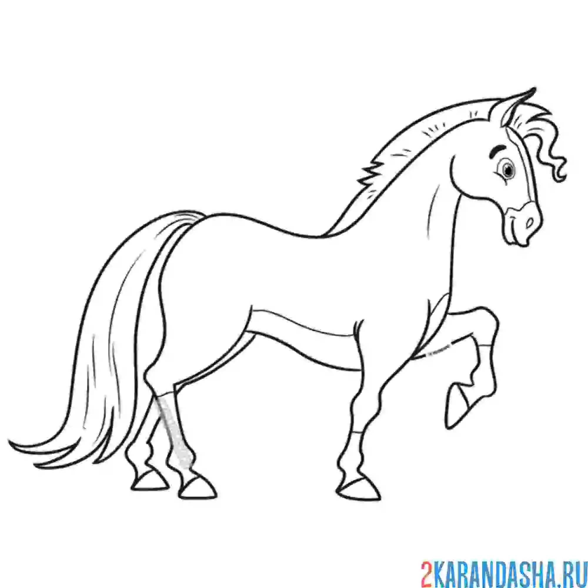 Раскраска чистокровный конь
