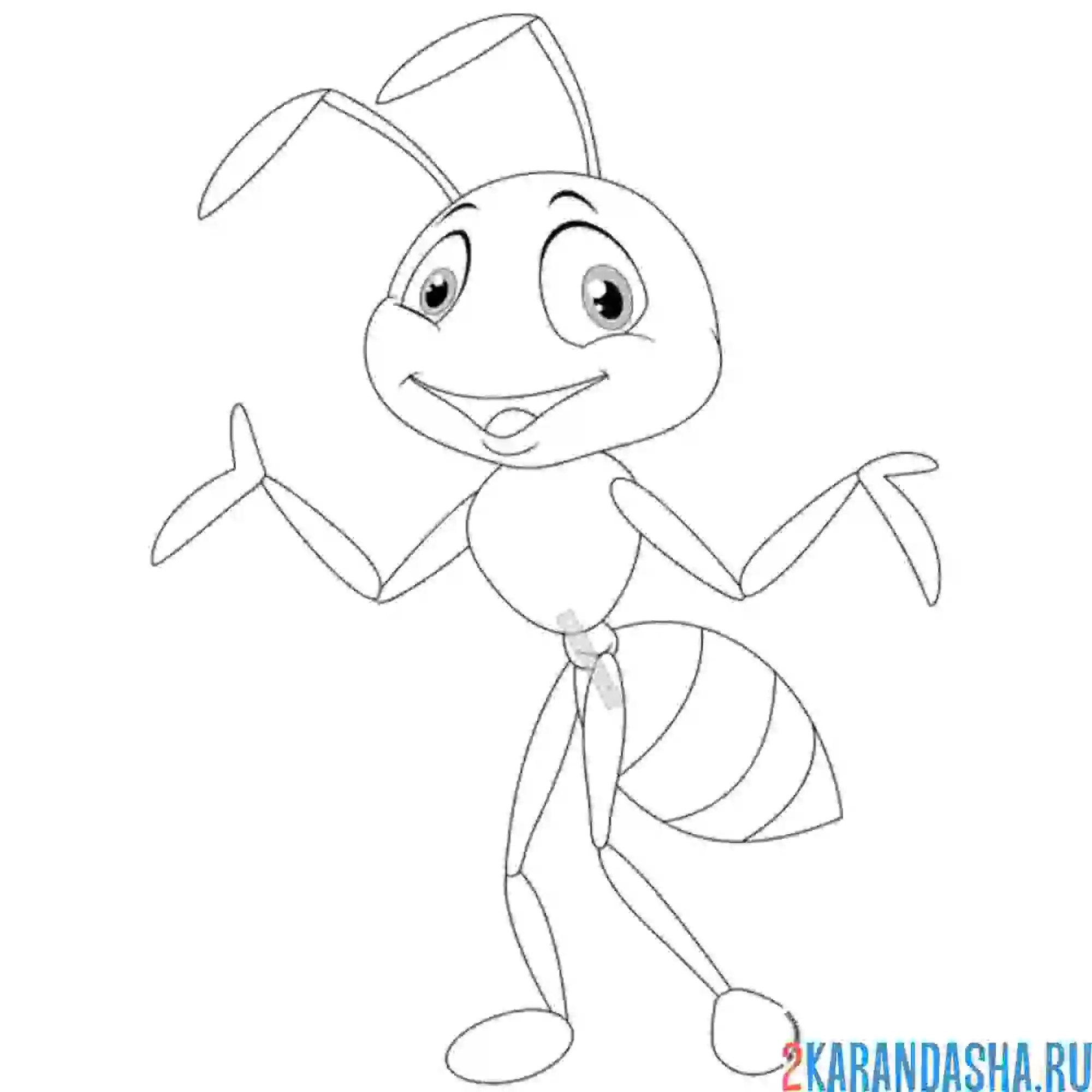 Раскраска муравей с тоненькими усиками