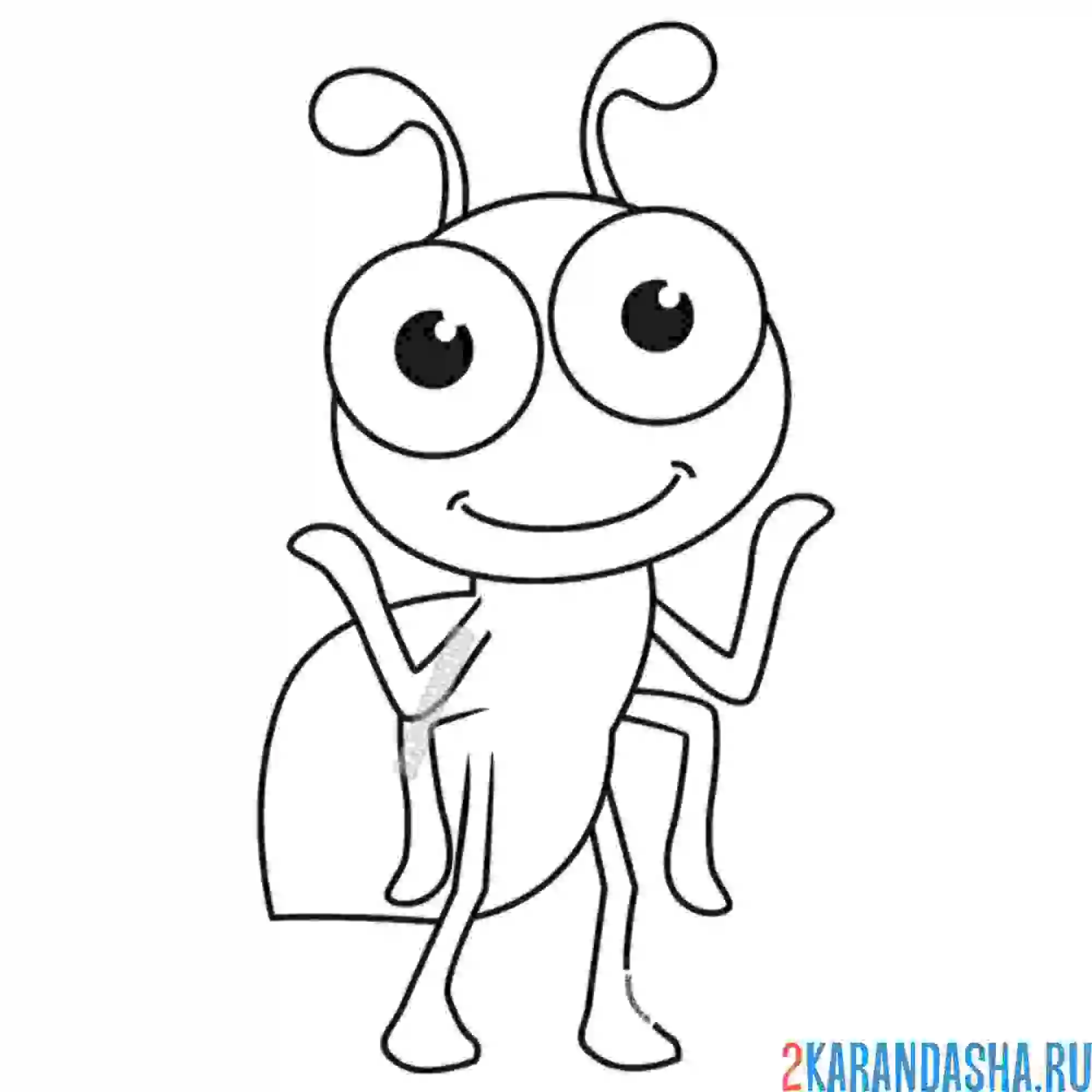 Раскраска маленький муравьишка