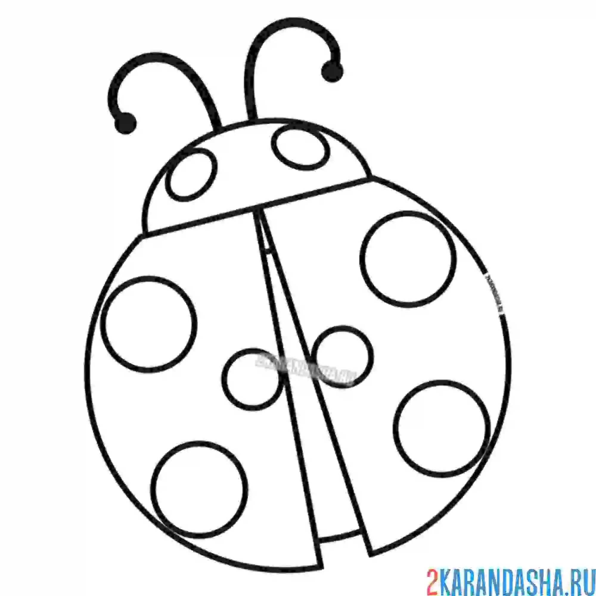 Раскраска простой рисунок божья коровка