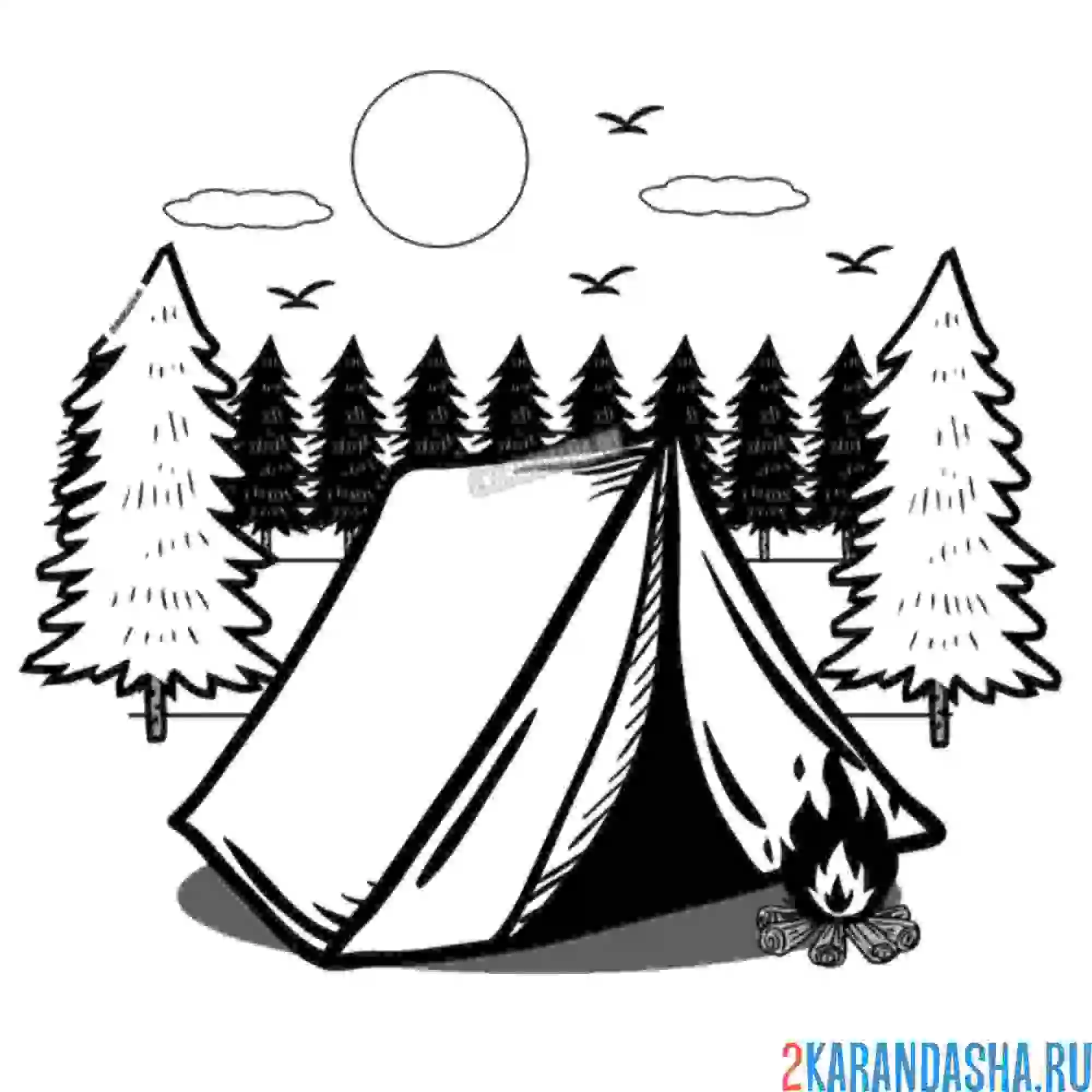 Раскраска кемпинг лето