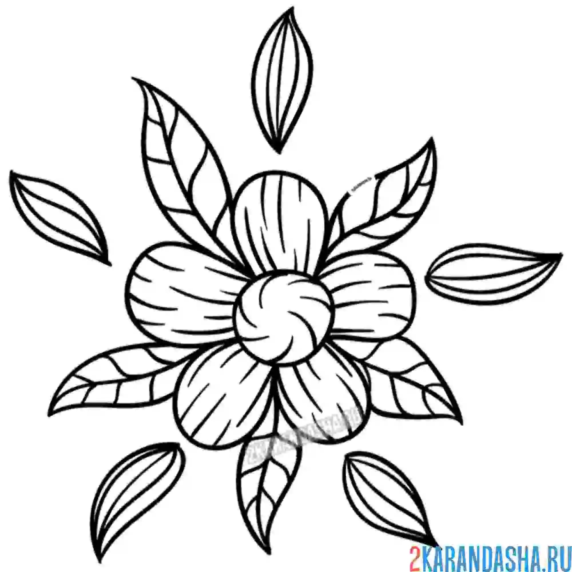 Раскраска цветочек с листьями