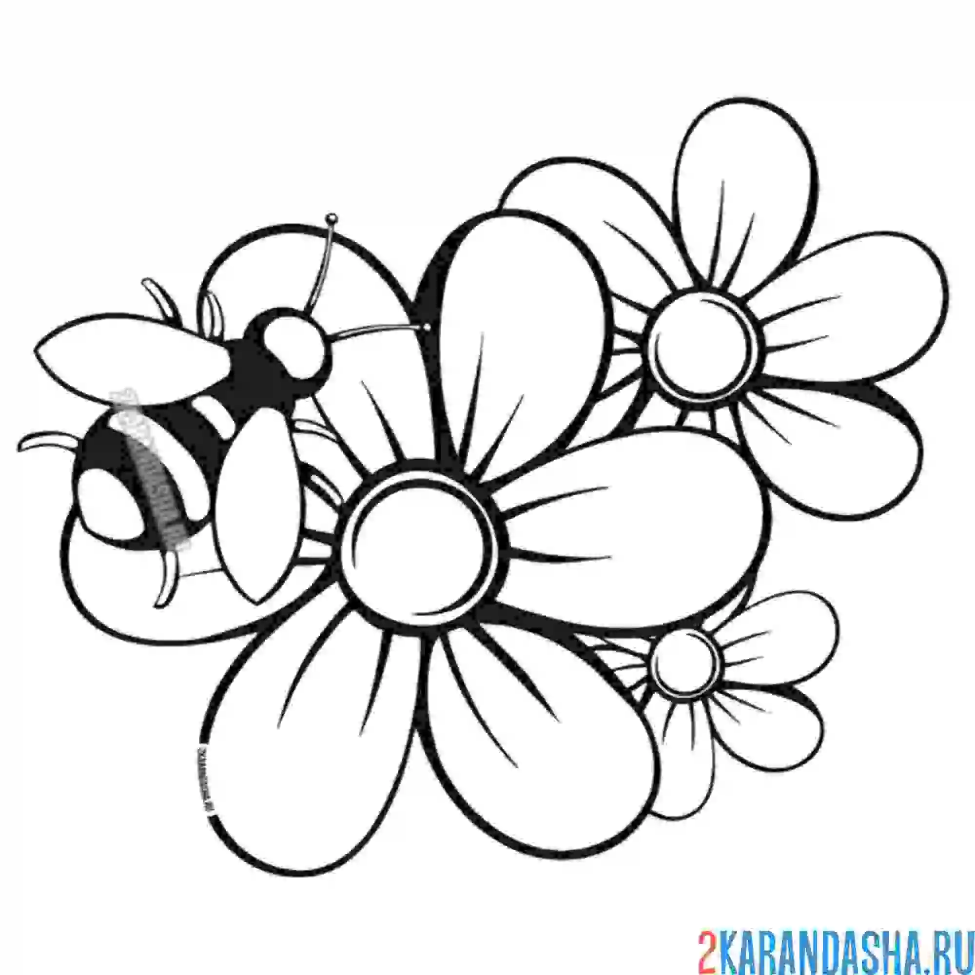 Раскраска цветы со шмелем