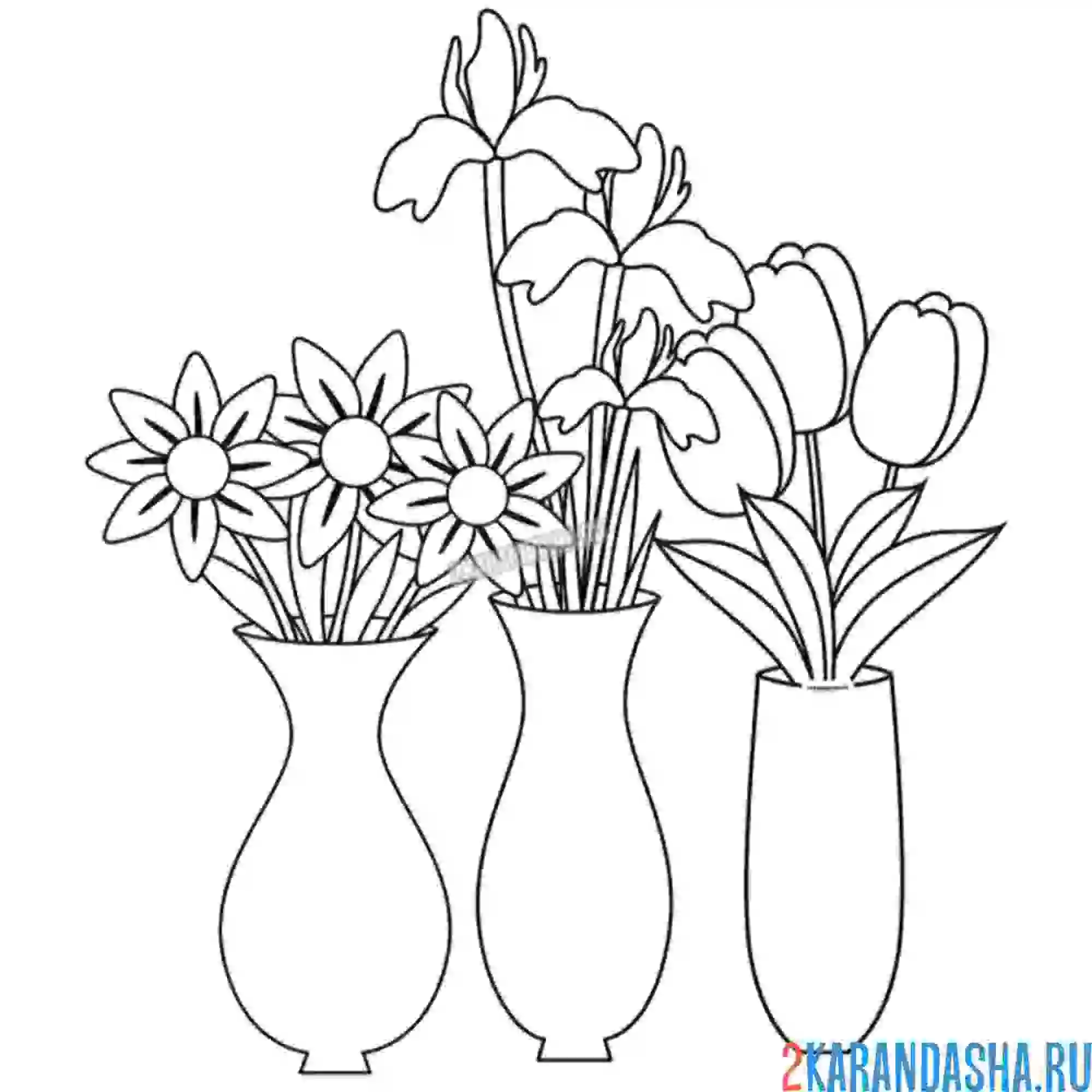Раскраска разные цветы в вазах