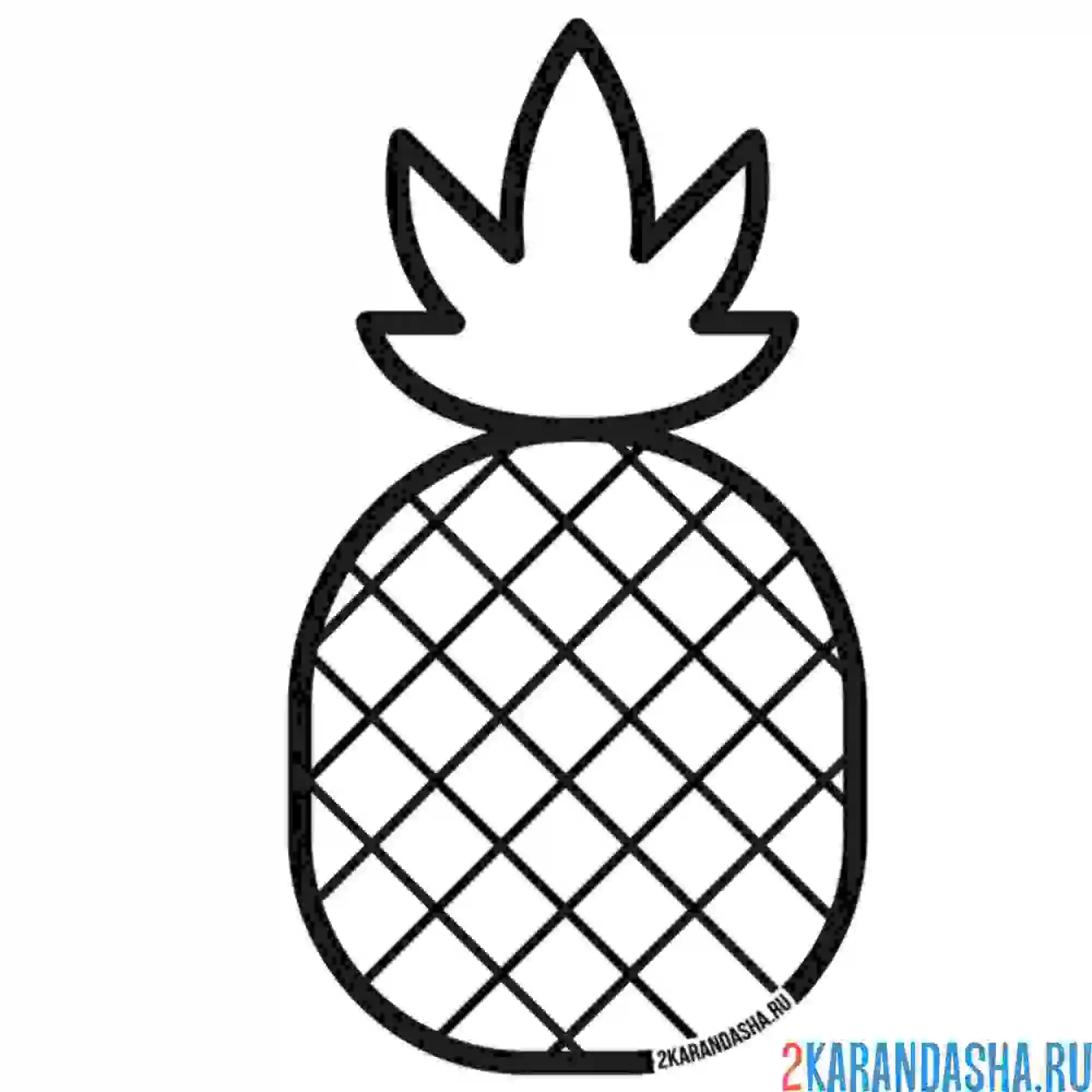 Раскраска ананас