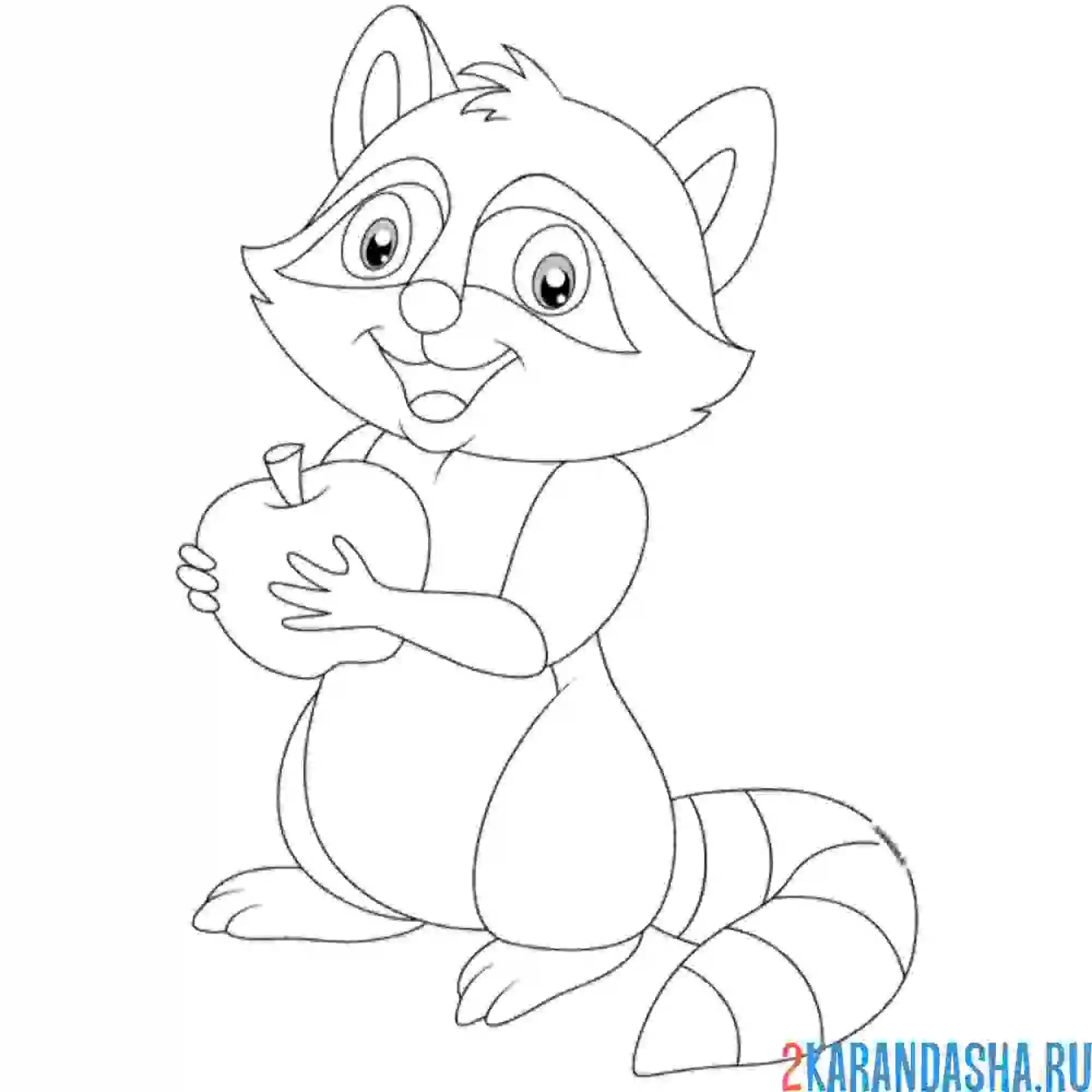 Раскраска милый енот с яблочком