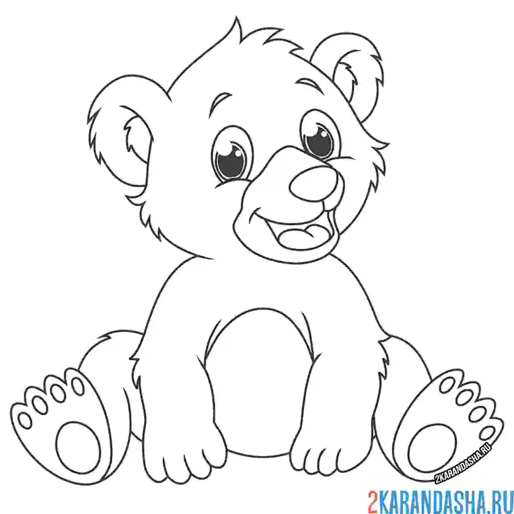 Раскраска медвежонок сидит