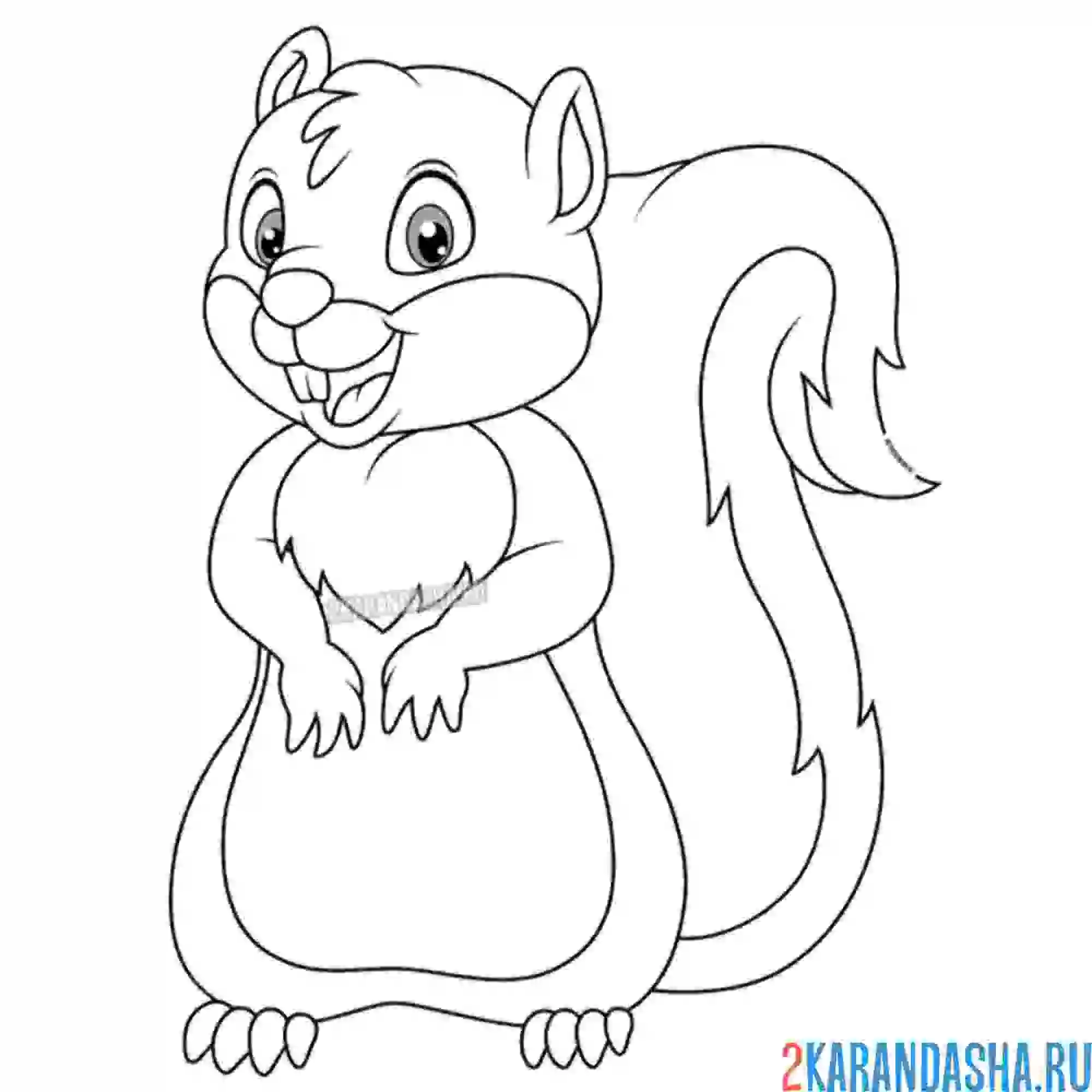 Раскраска мальчик белка