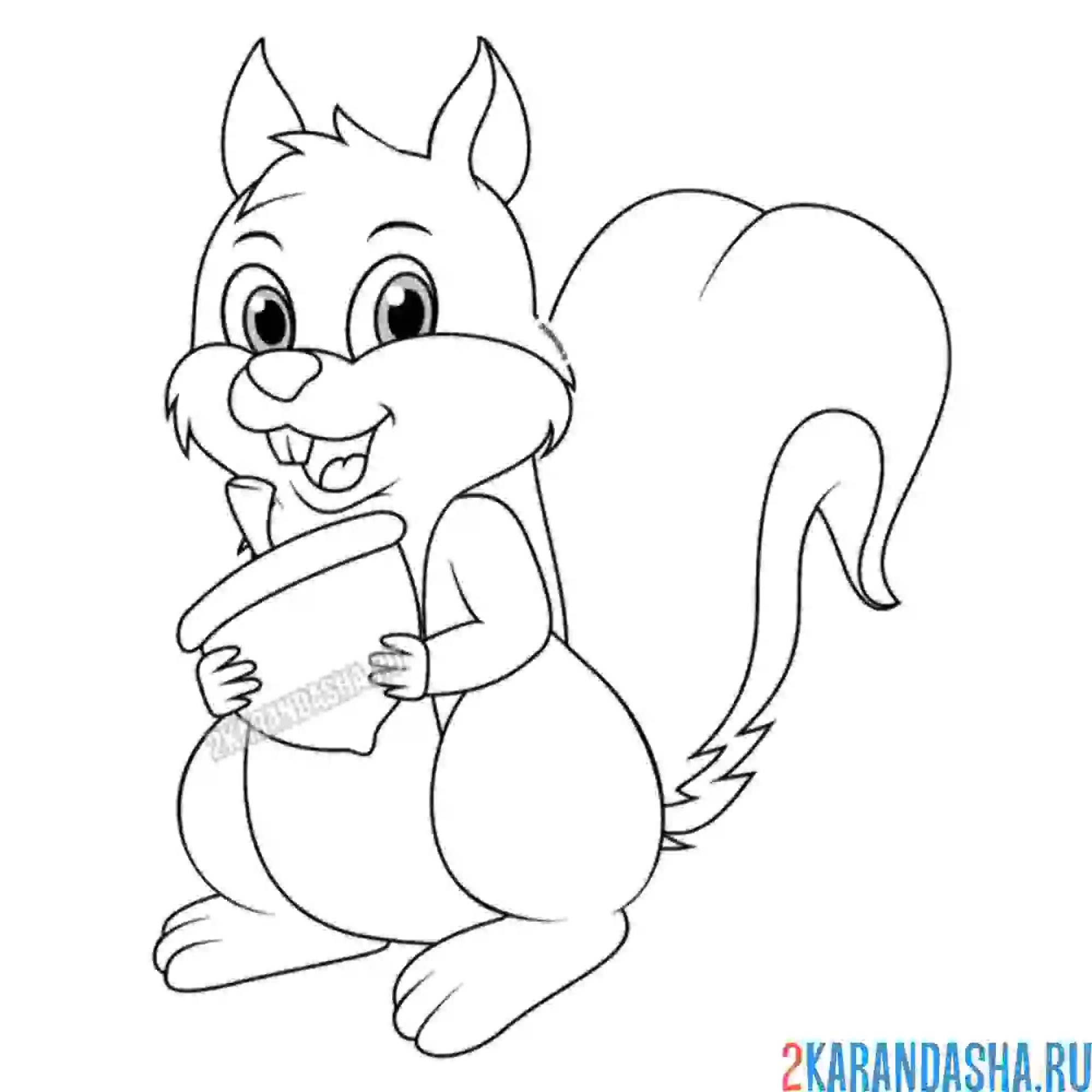 Раскраска забавная белка