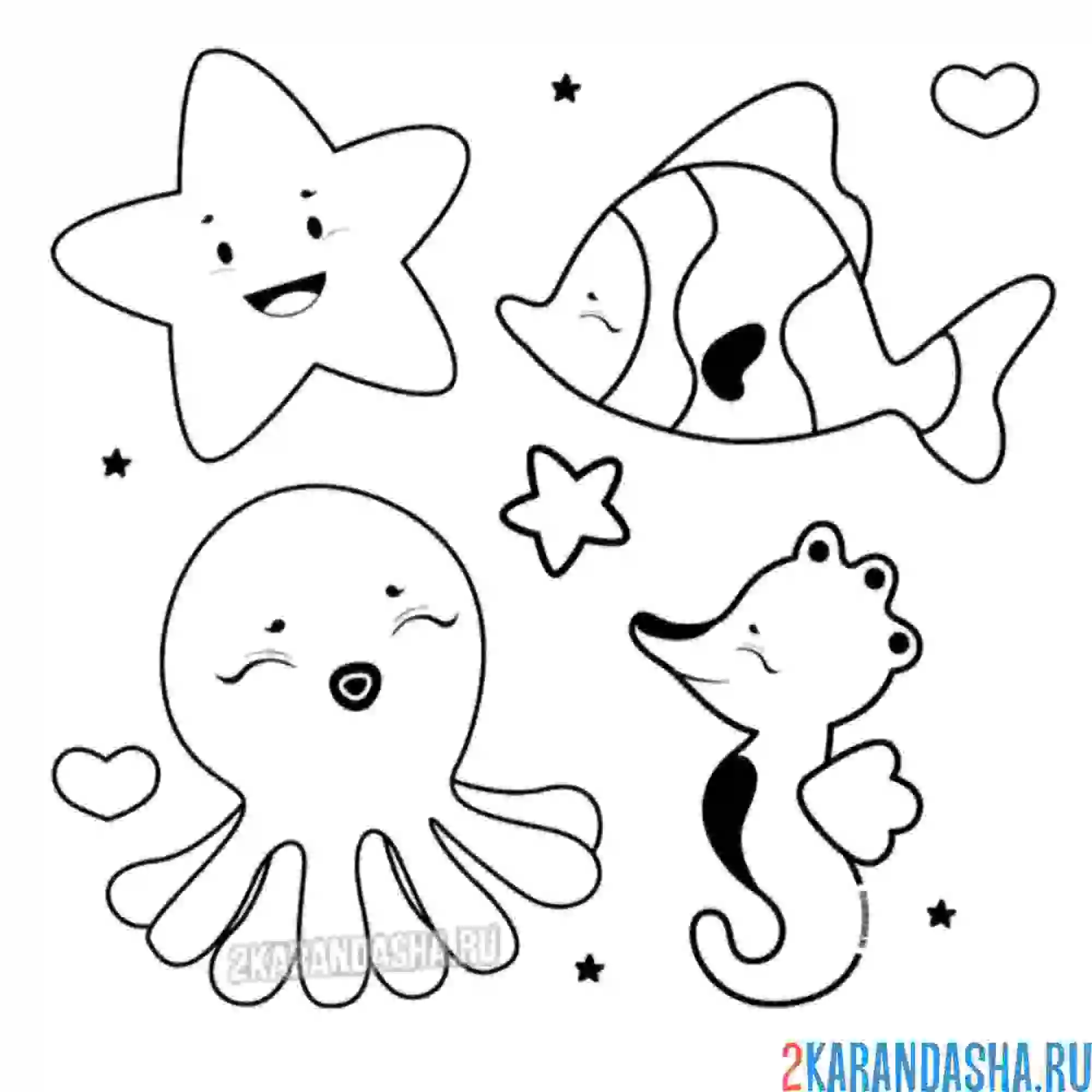 Раскраска морские животные