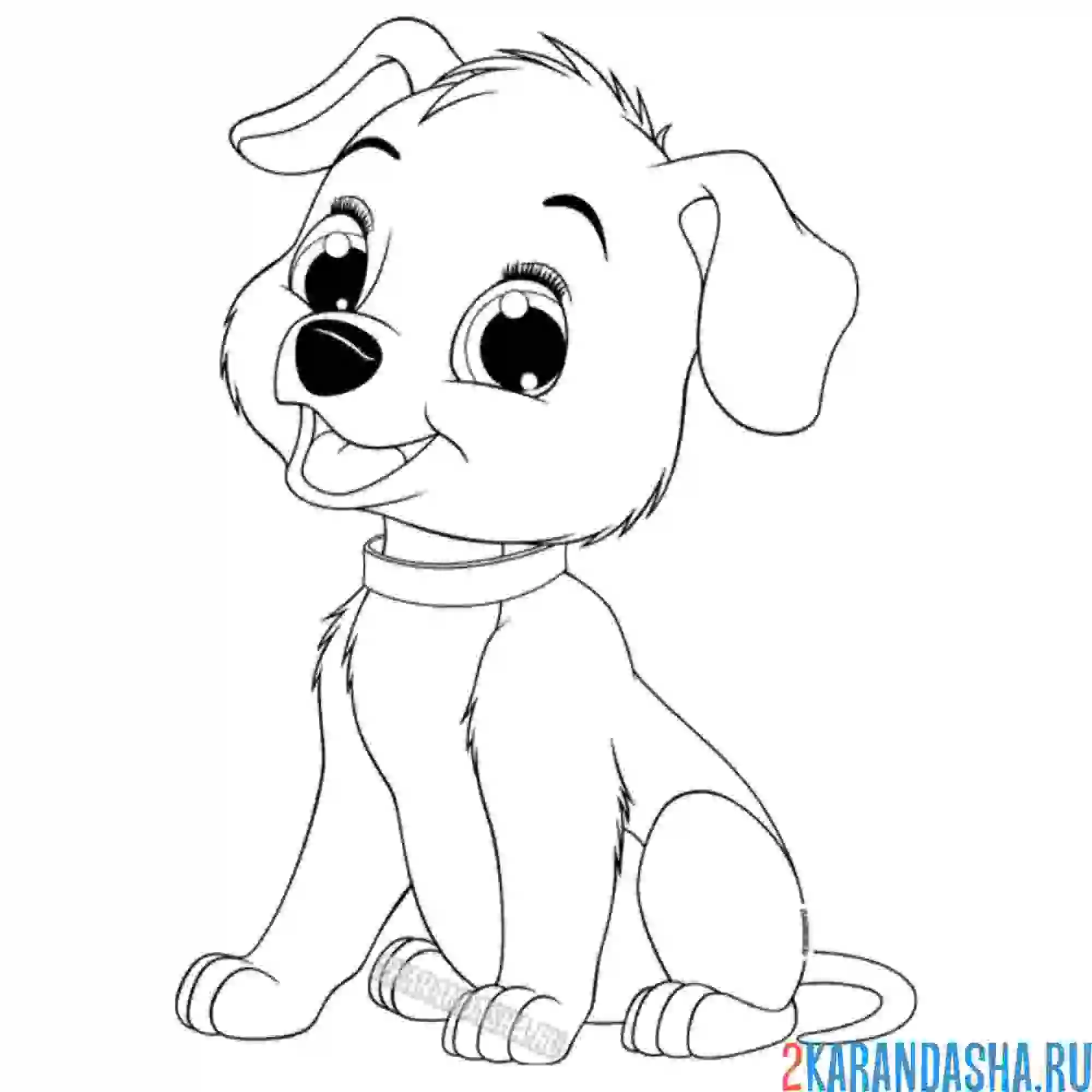 Раскраска милый песик