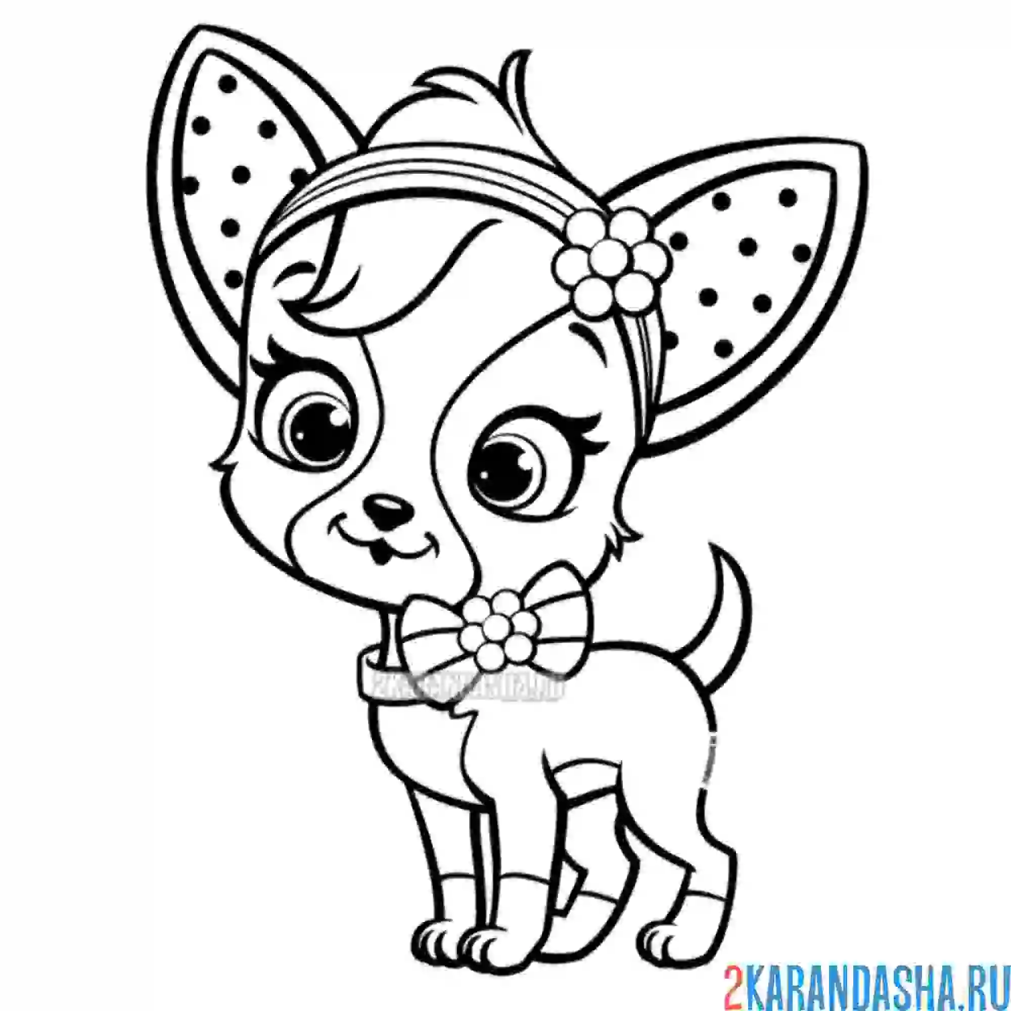 Раскраска милый той