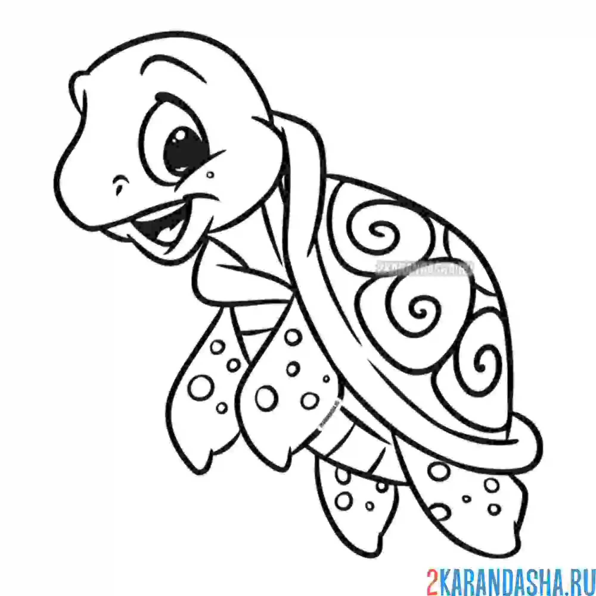Раскраска забавный черепашонок