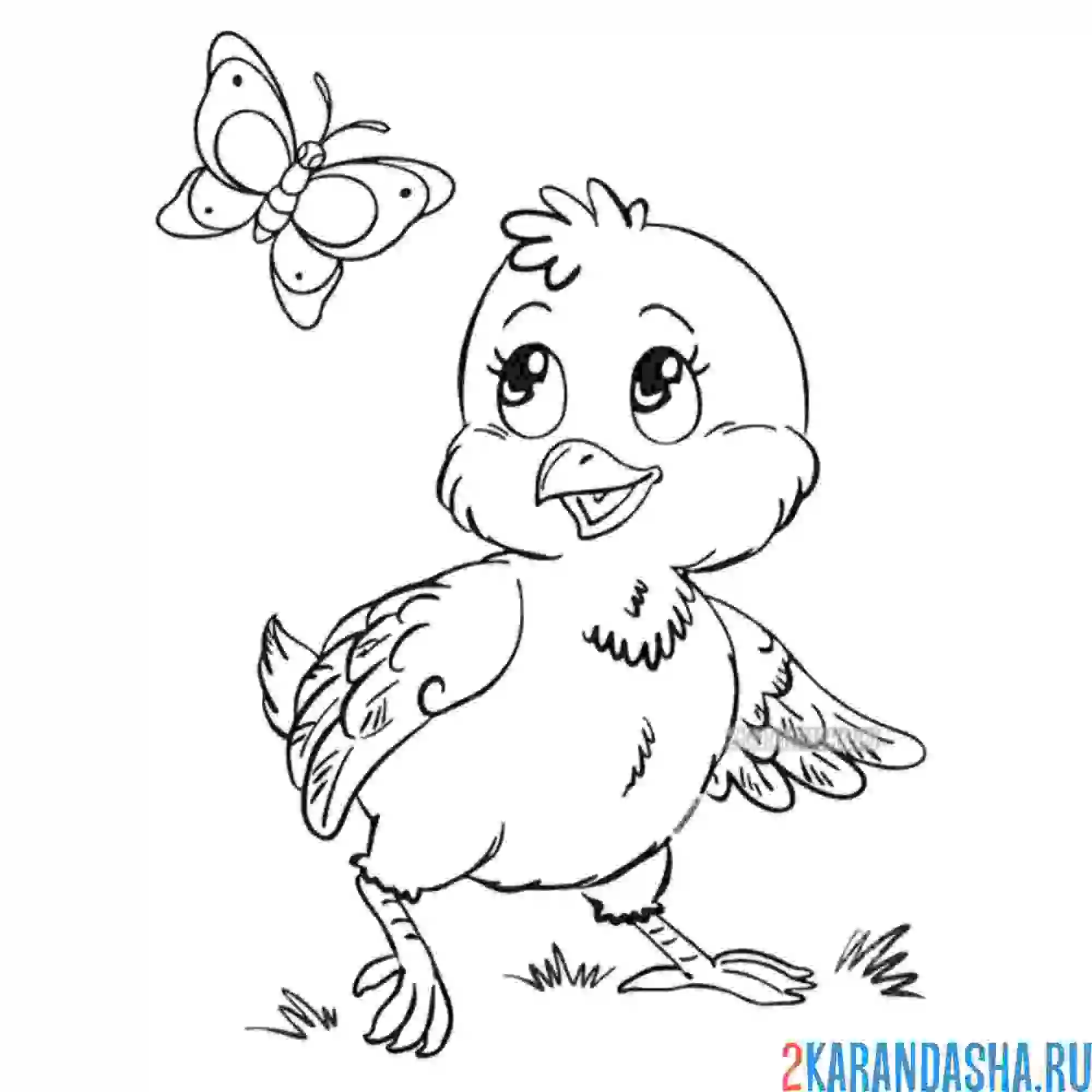Раскраска цыпленок и бабочка