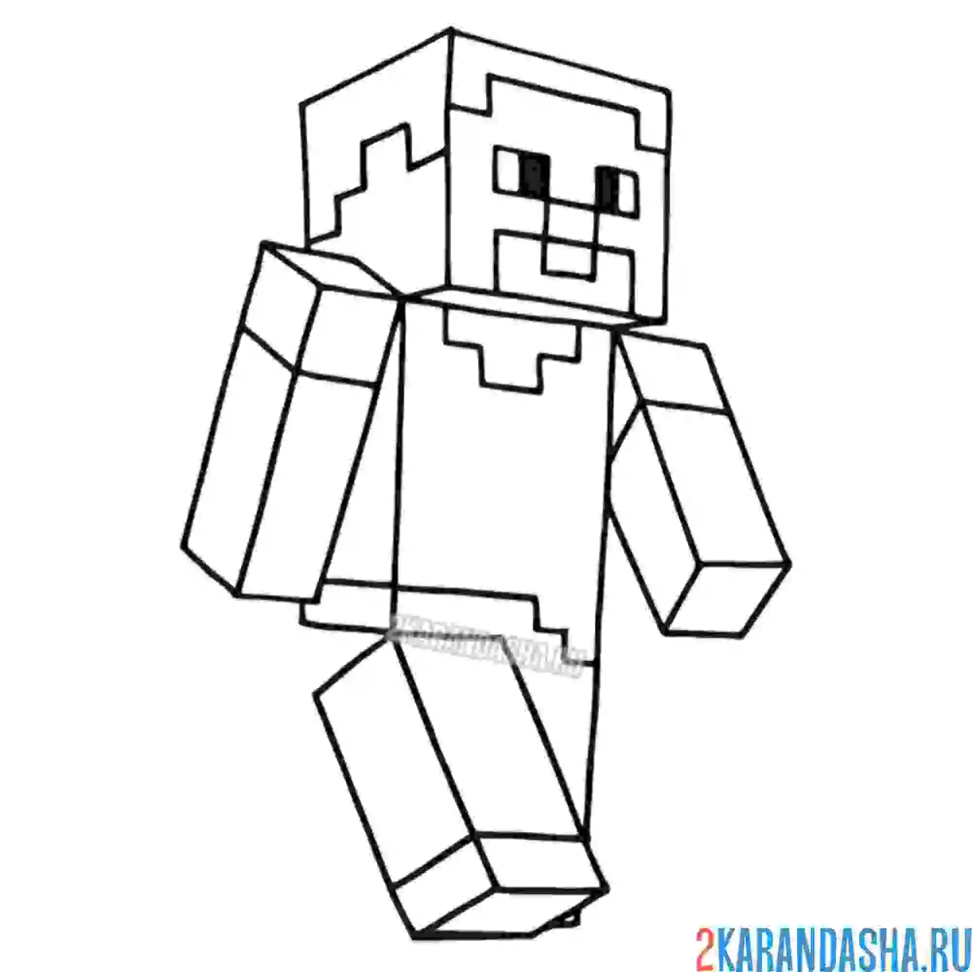 Раскраска стив идет