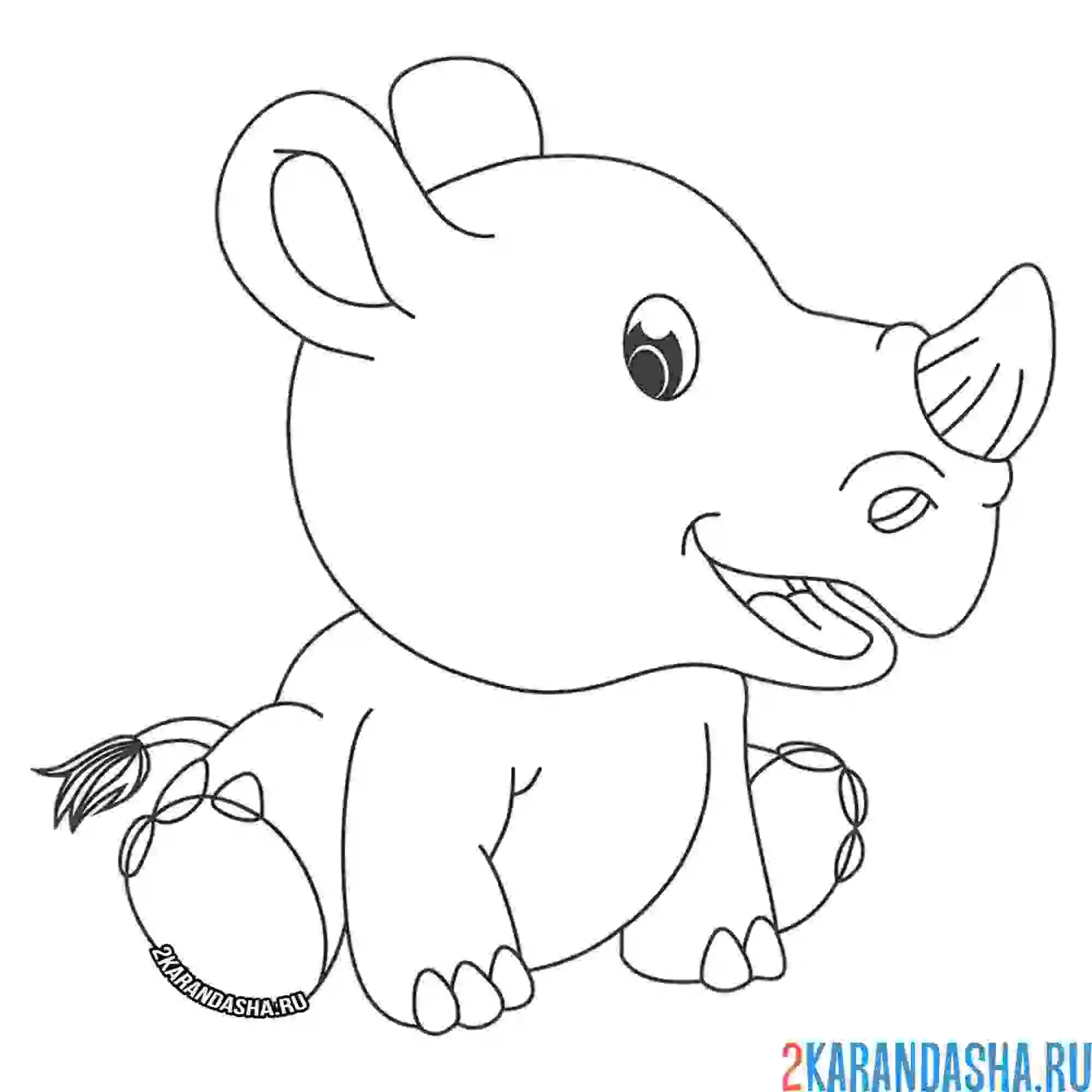 Раскраска чудесный носорог