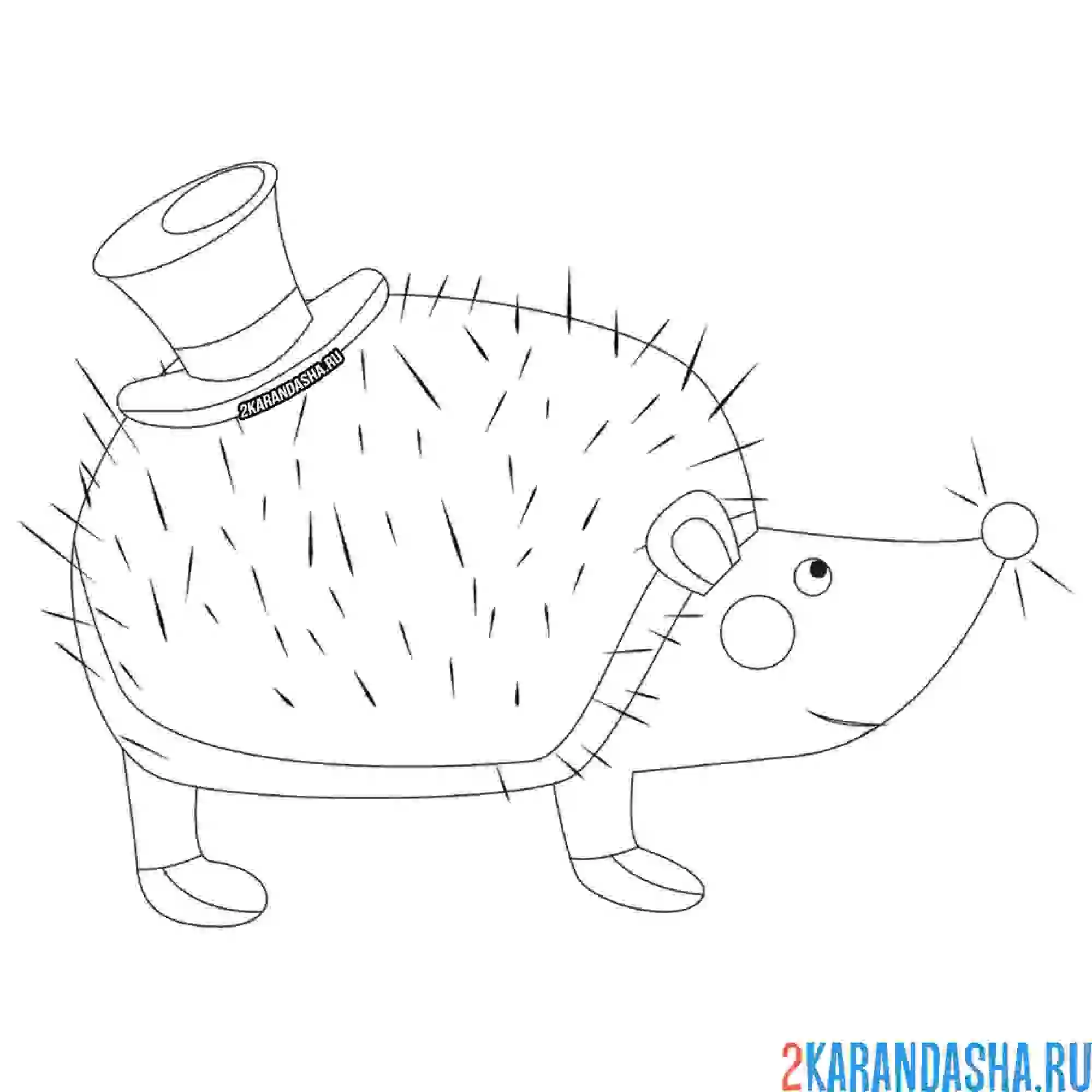 Раскраска ежик с шляпой на спине