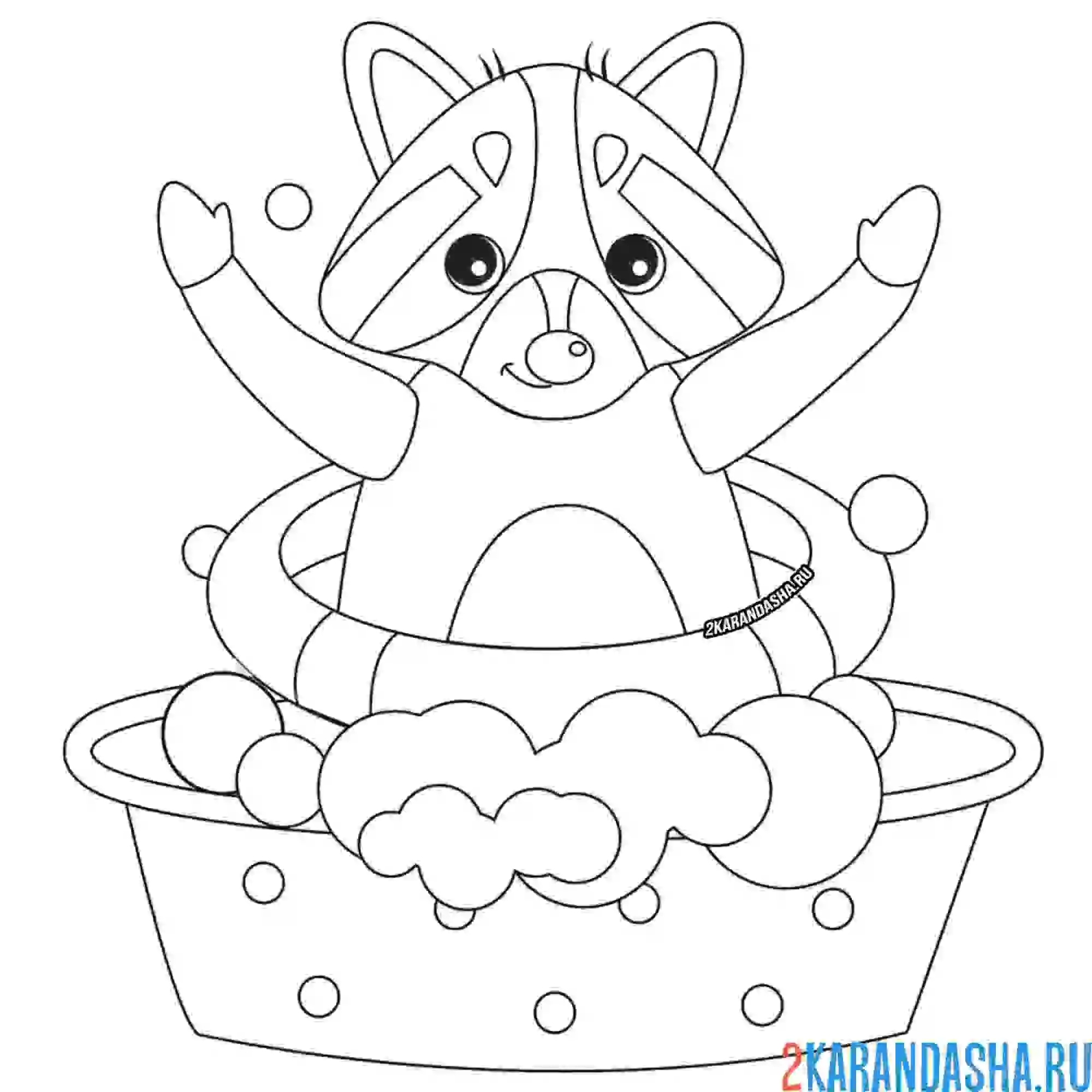 Раскраска смешной енот в тазике