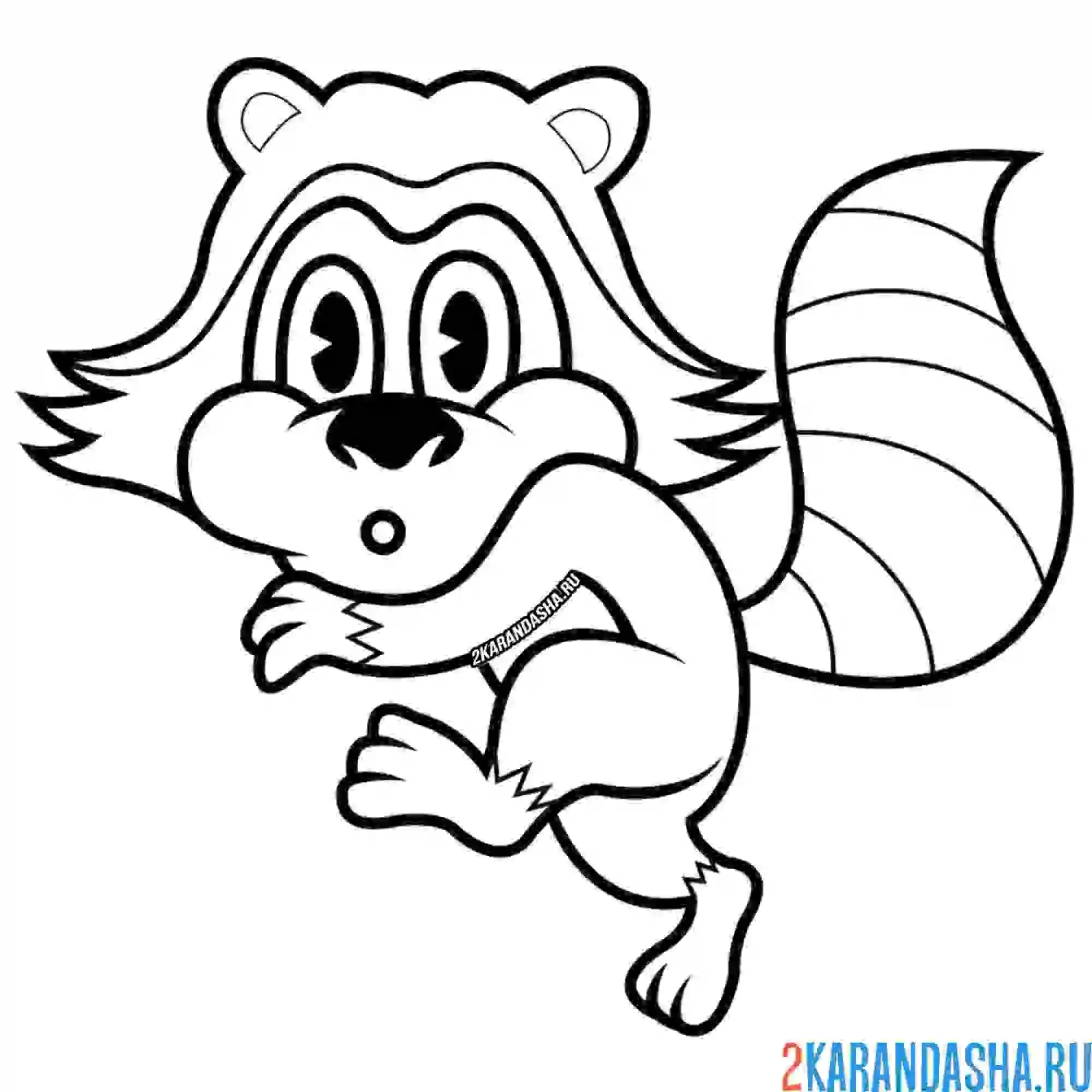 Раскраска енот крадется на цыпочках