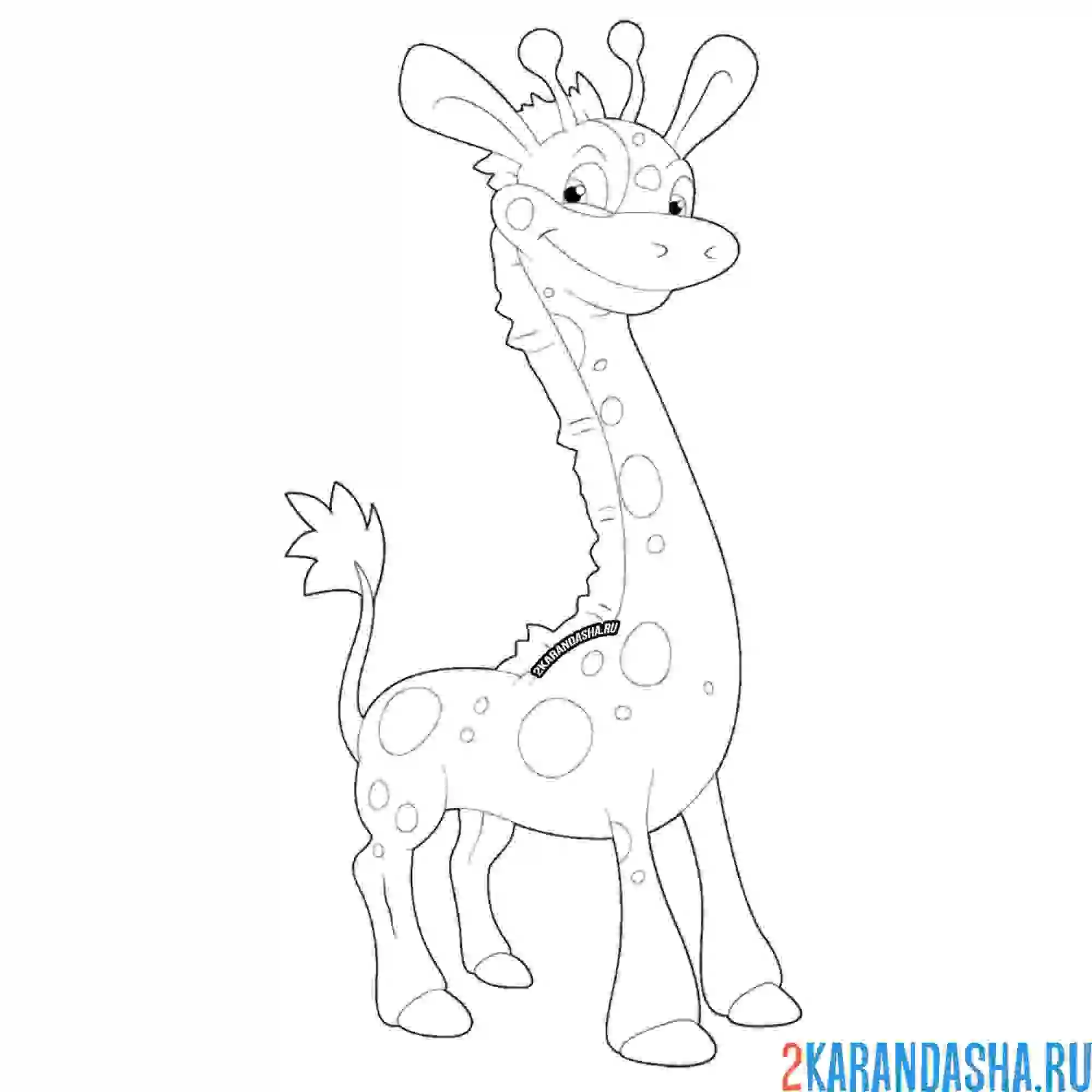 Раскраска пятнистый жирафик