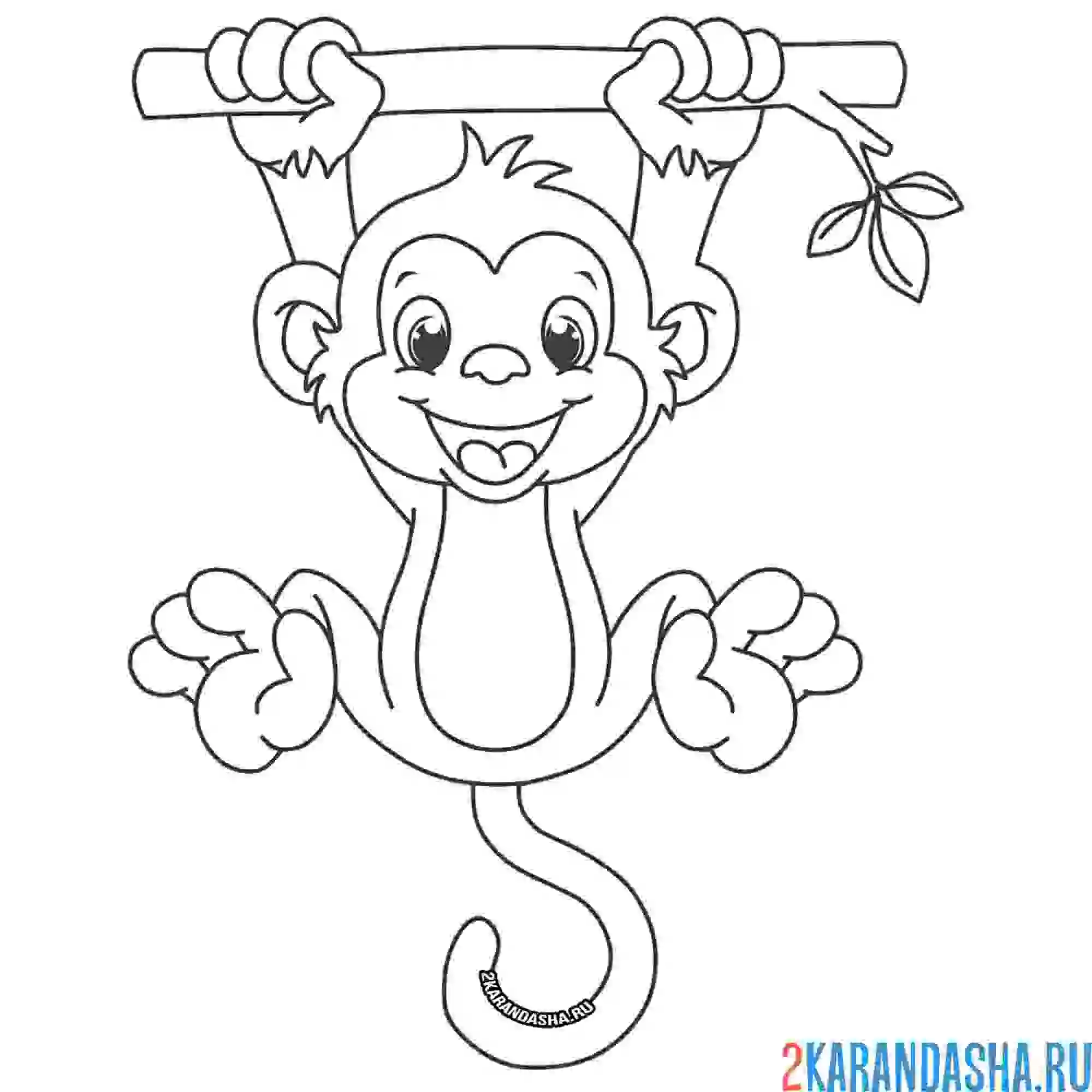 Раскраска обезьянка висит на ветке
