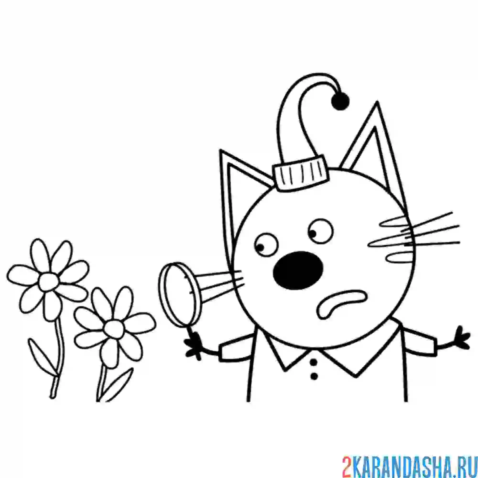 Раскраска компот изучает цветы