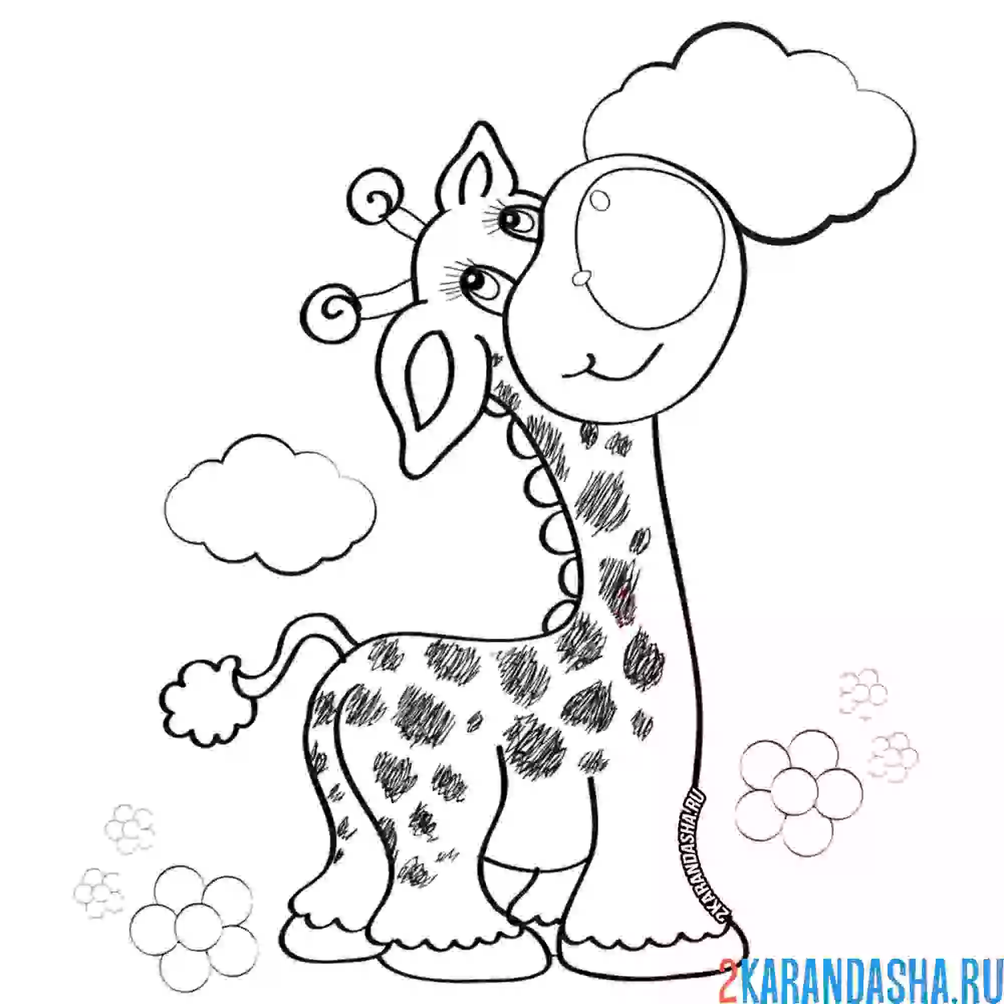 Раскраска жираф в облаках
