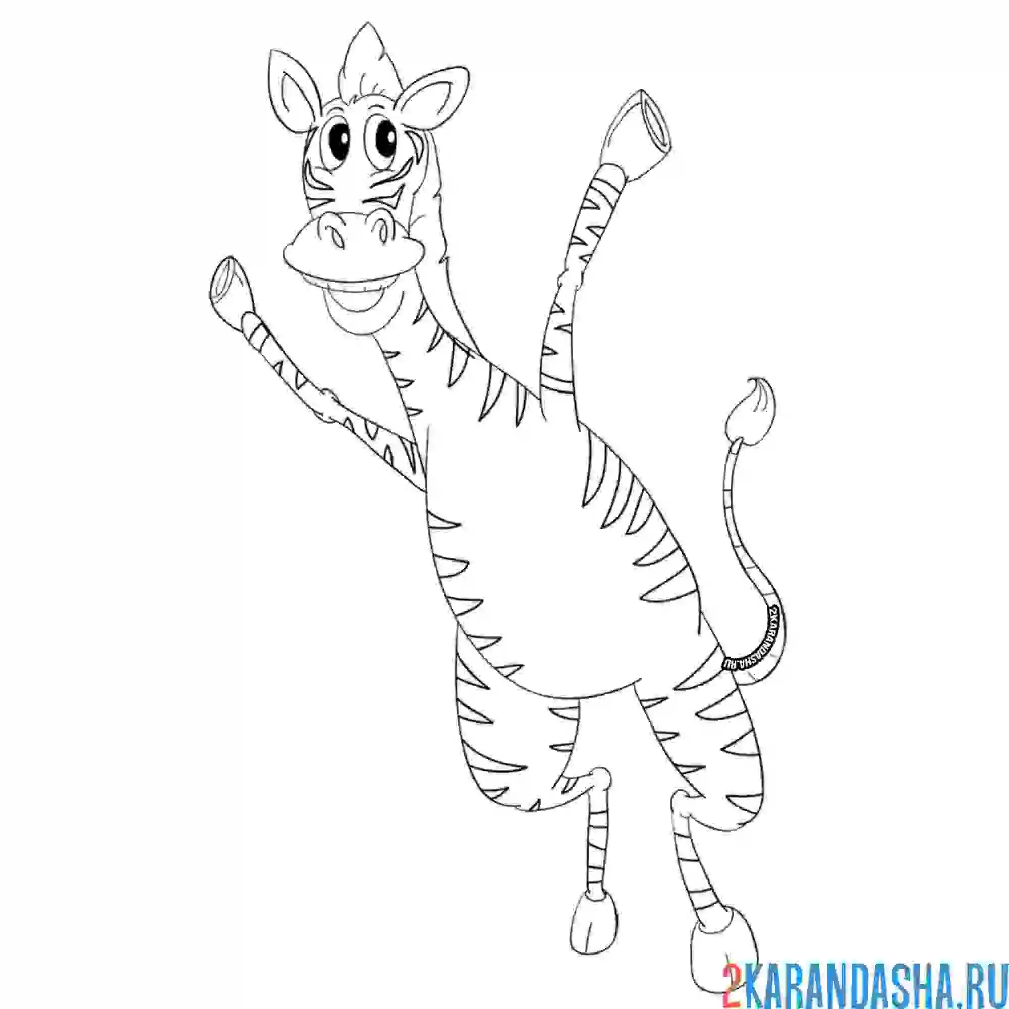 Раскраска веселая зебра