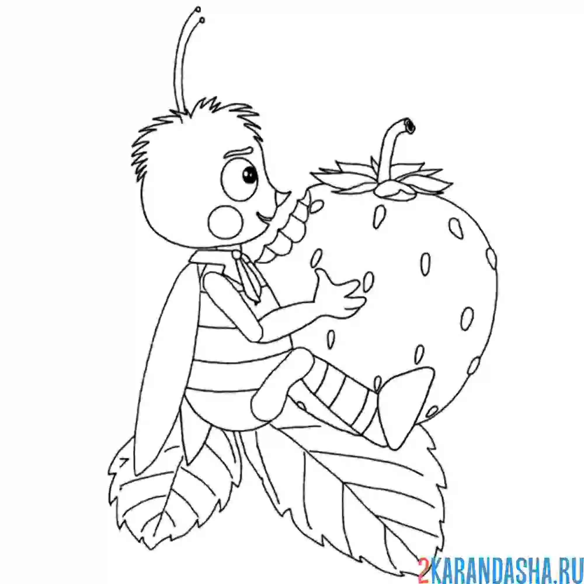 Раскраска пчеленок тема ест клубничку из лунтика