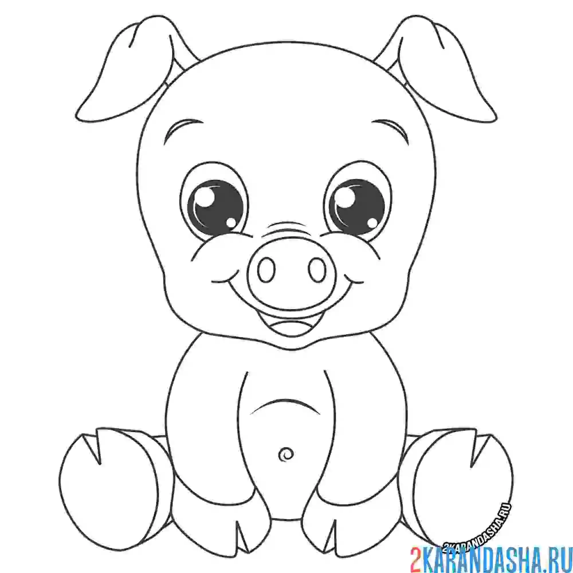 Раскраска поросенок с большими глазами
