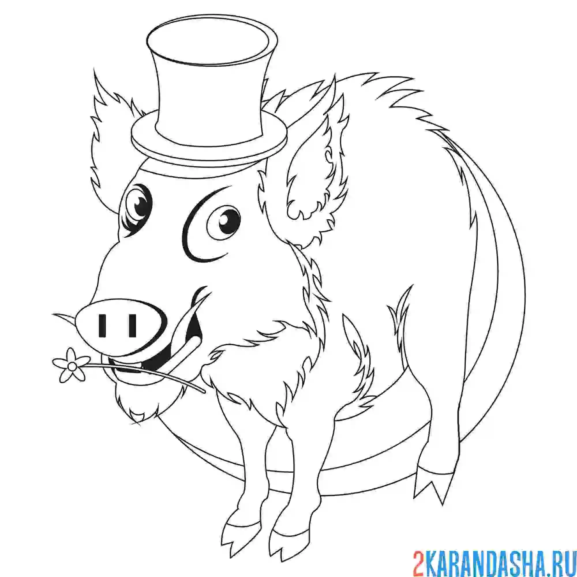 Раскраска кабан в шляпе